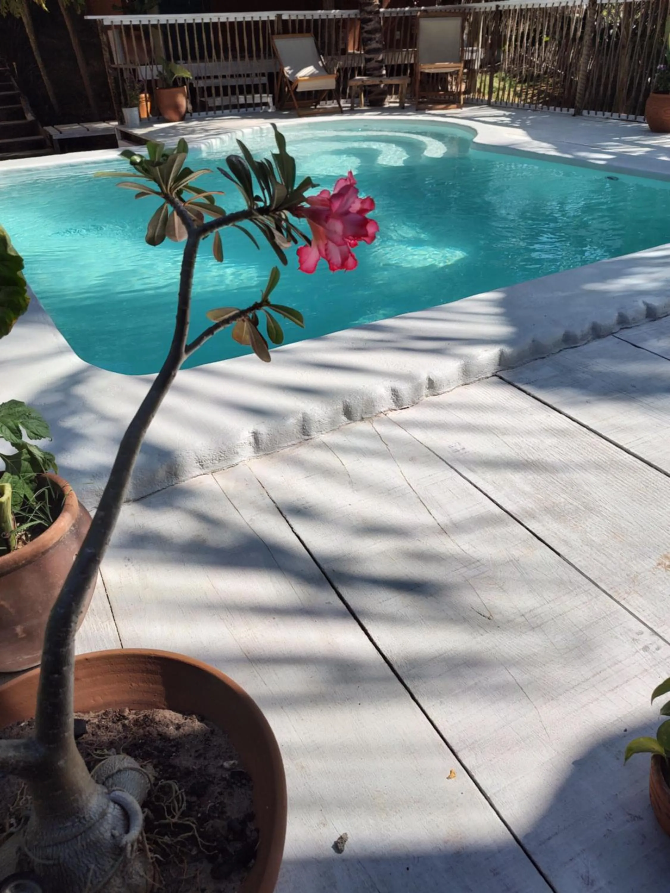 Swimming pool in Mangará Pousada