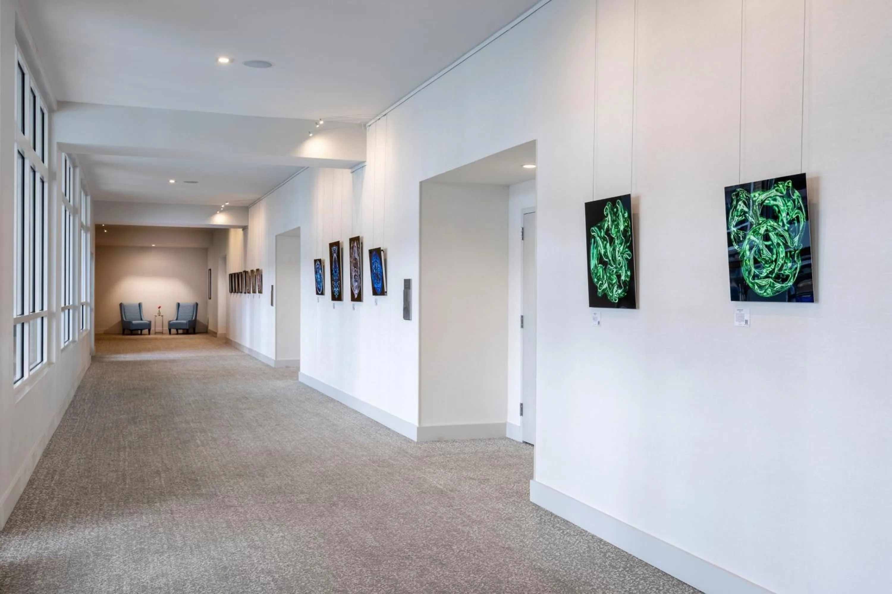 Meeting/conference room in SpringHill Suites by Marriott Amelia Island