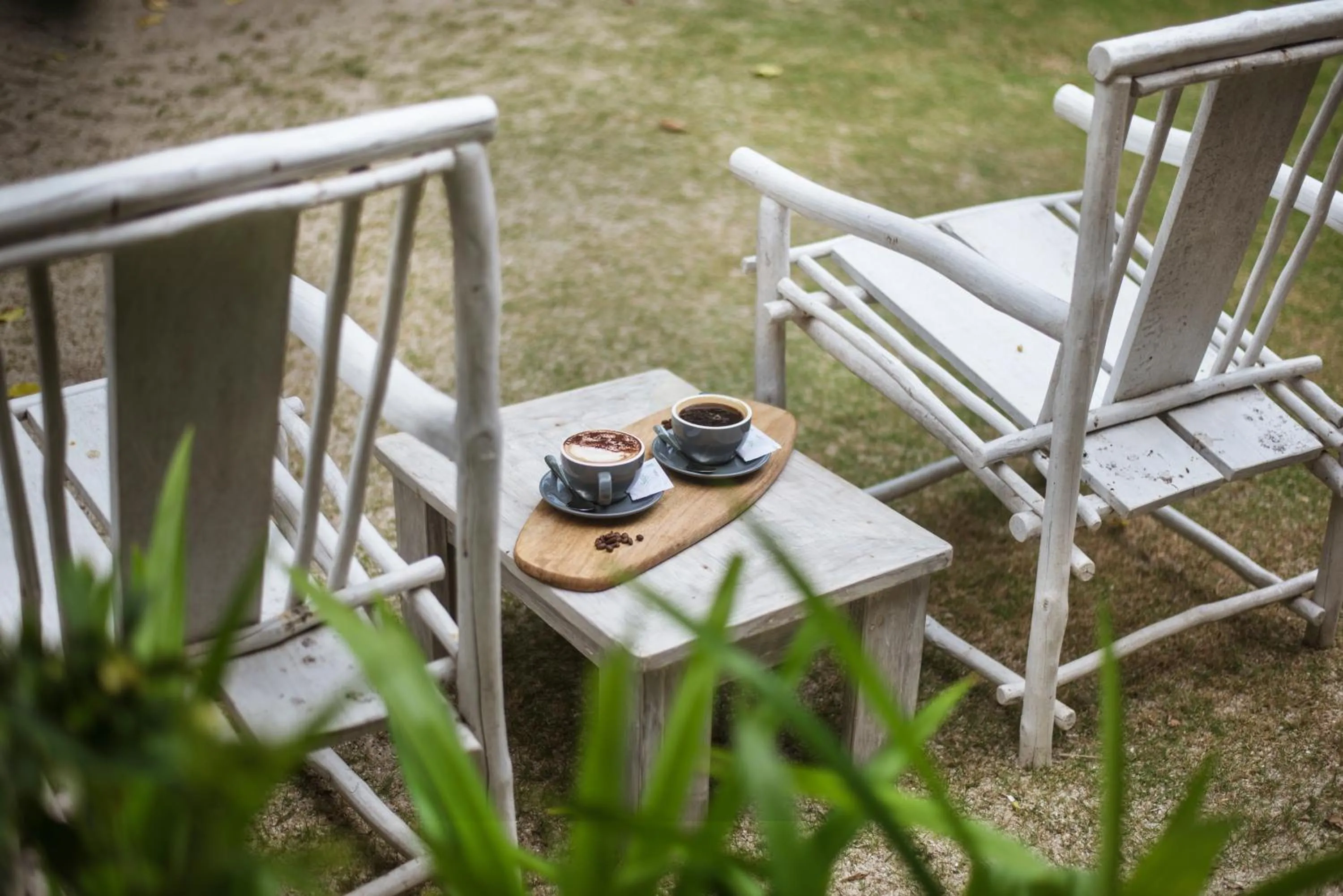 Trikora Beach Club and Resort