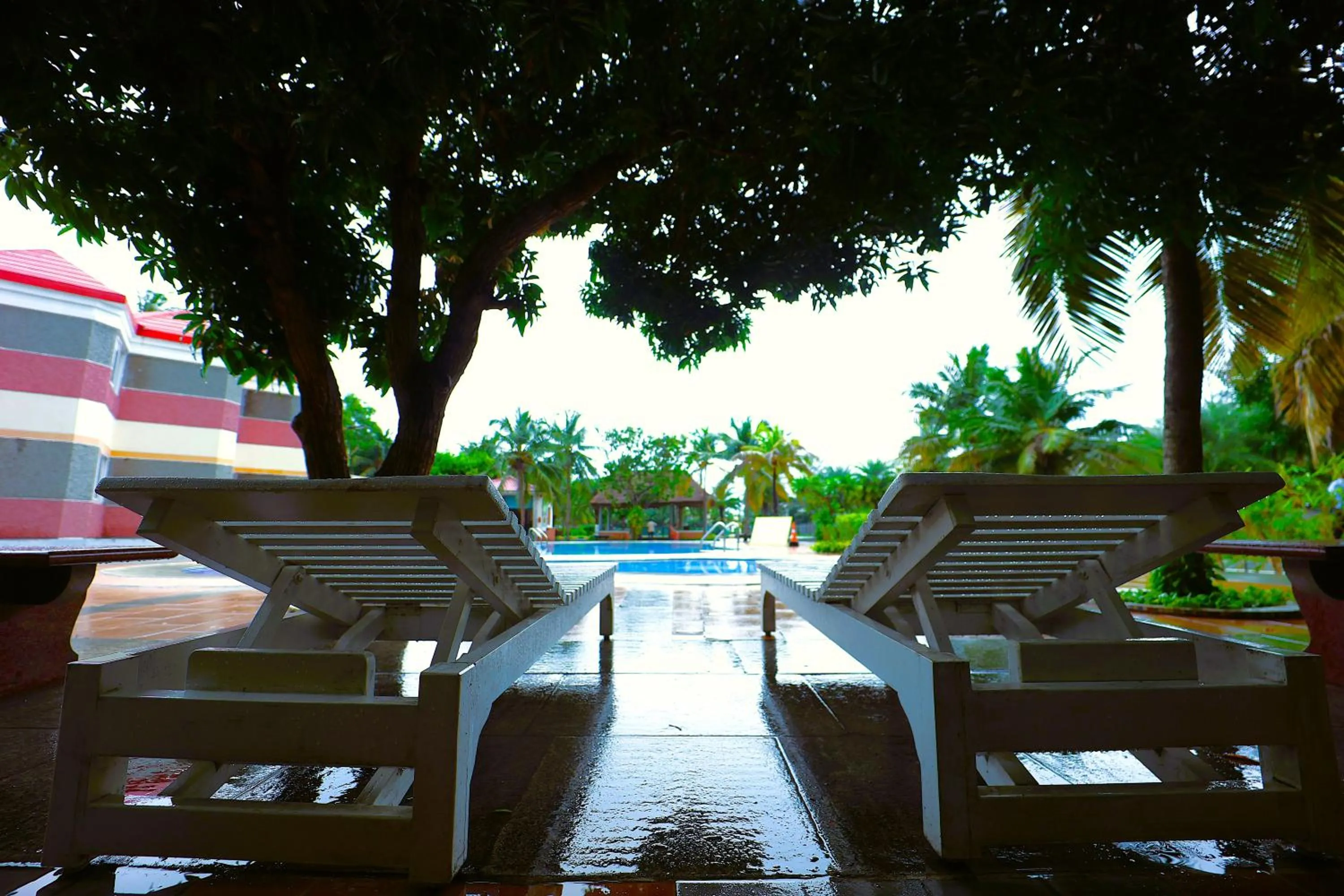 Swimming pool in coral beach resort