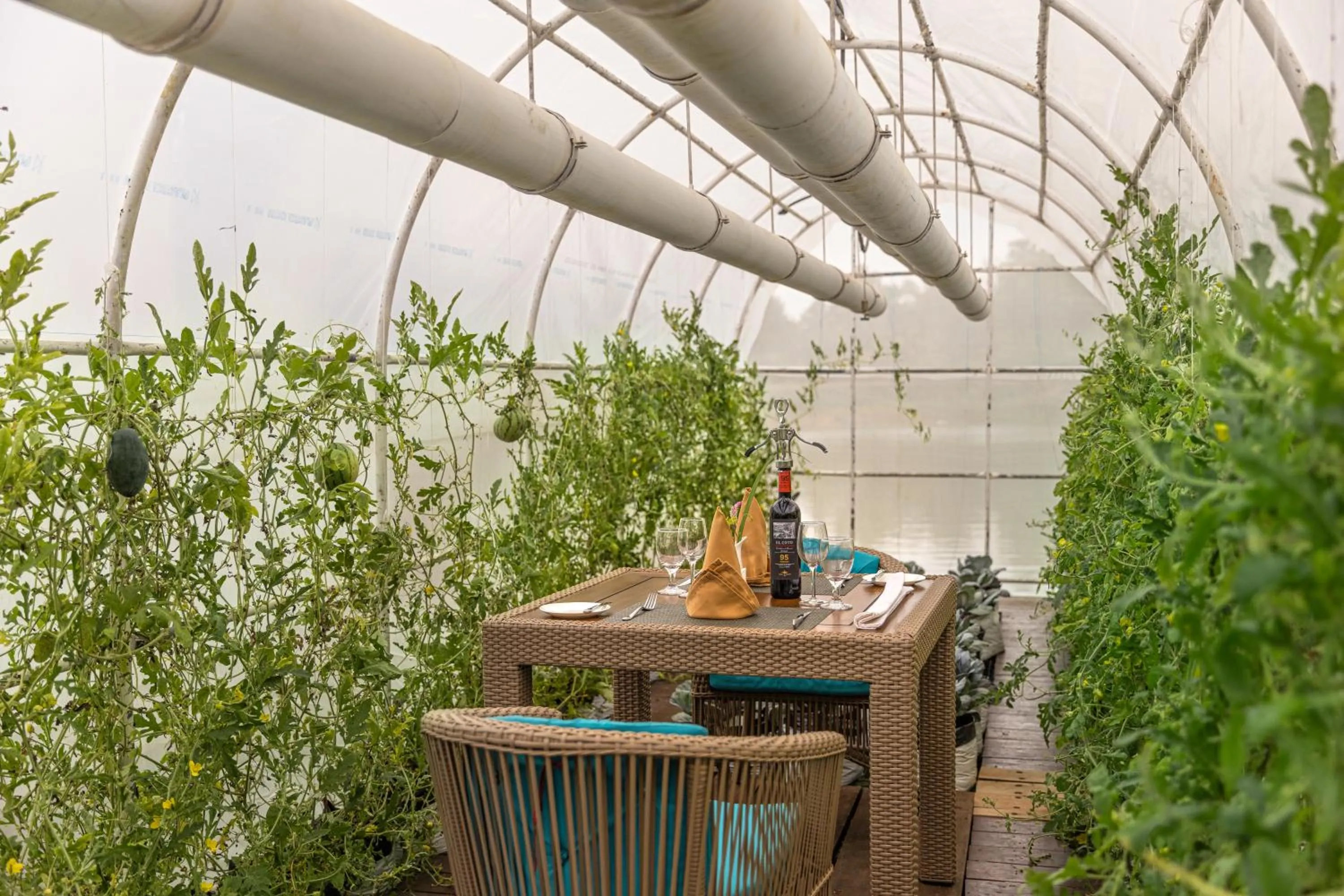 Dining area in Bolagala Agro Floating Resort