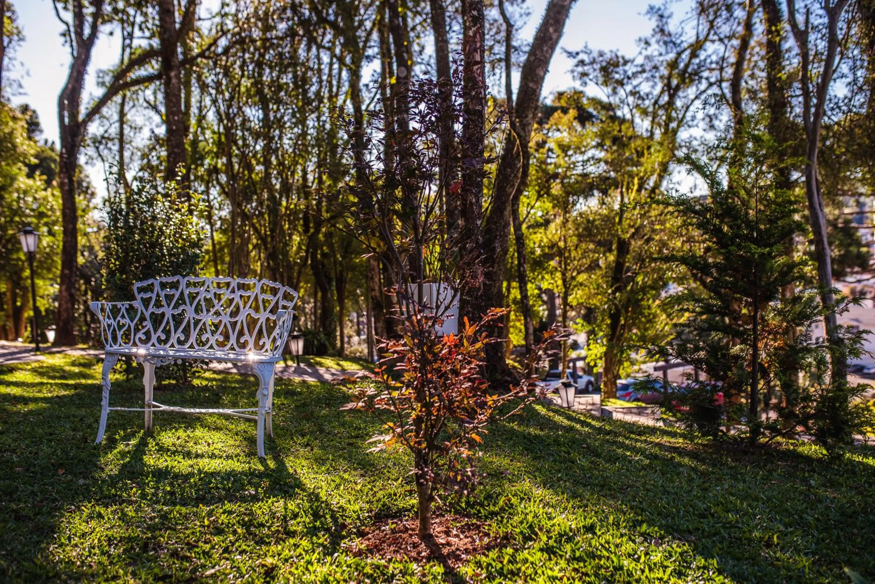 Garden in Castelo Boutique Hotel