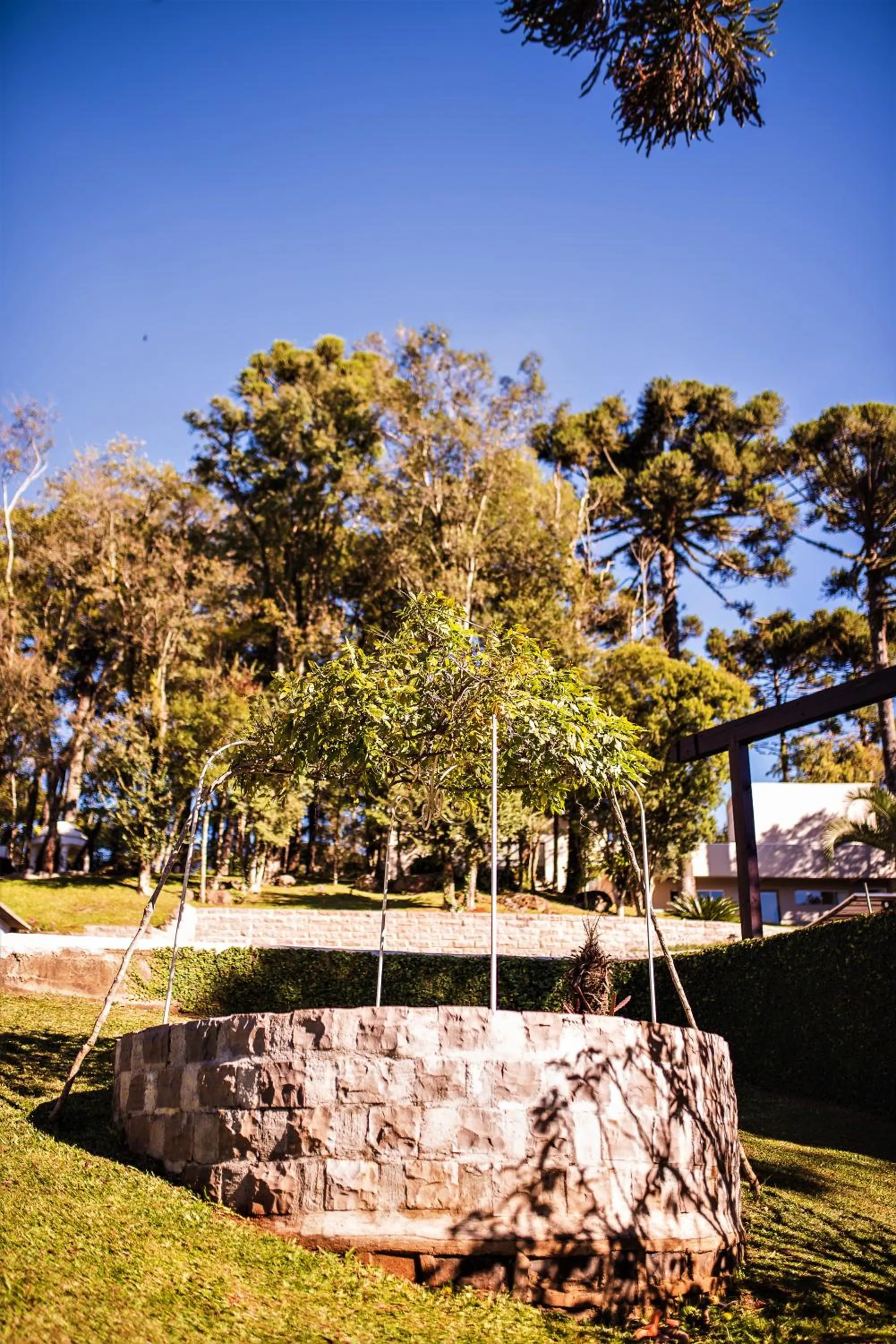 Garden in Castelo Boutique Hotel