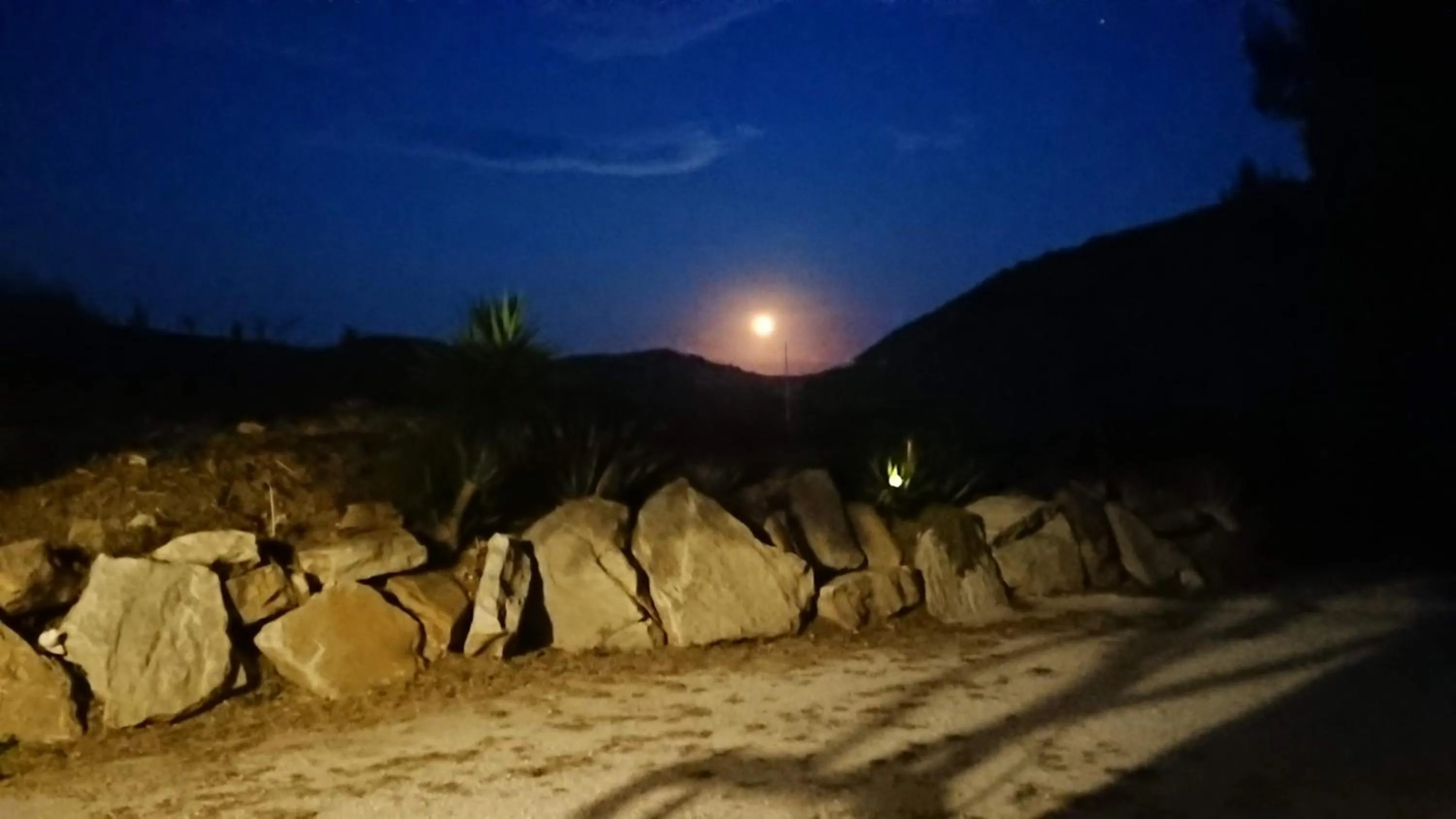 Garden in Helimos Bed&Breakfast Segesta Temple-Castellammare