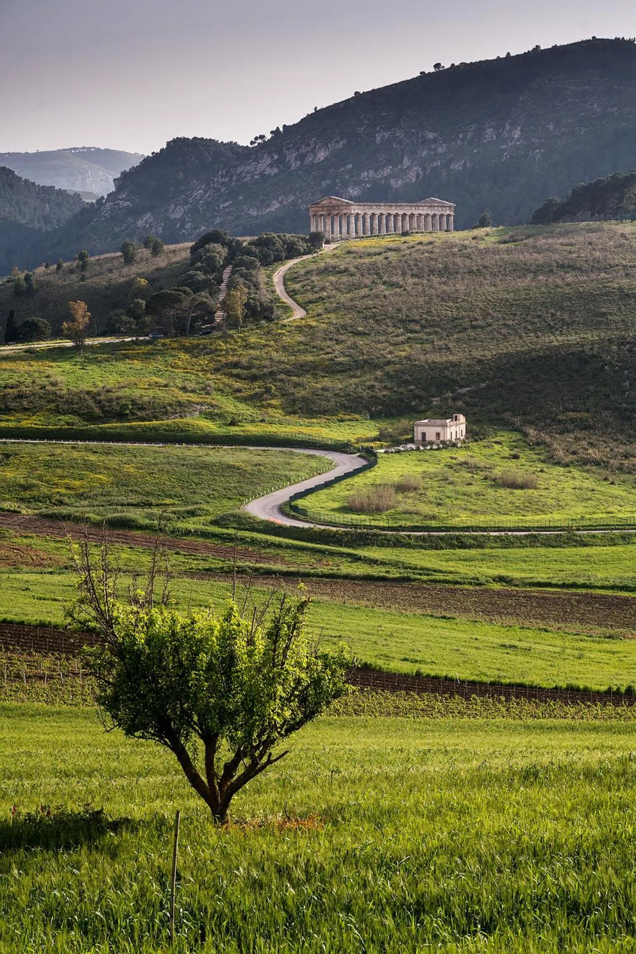 Natural landscape in Helimos Bed&Breakfast Segesta Temple-Castellammare