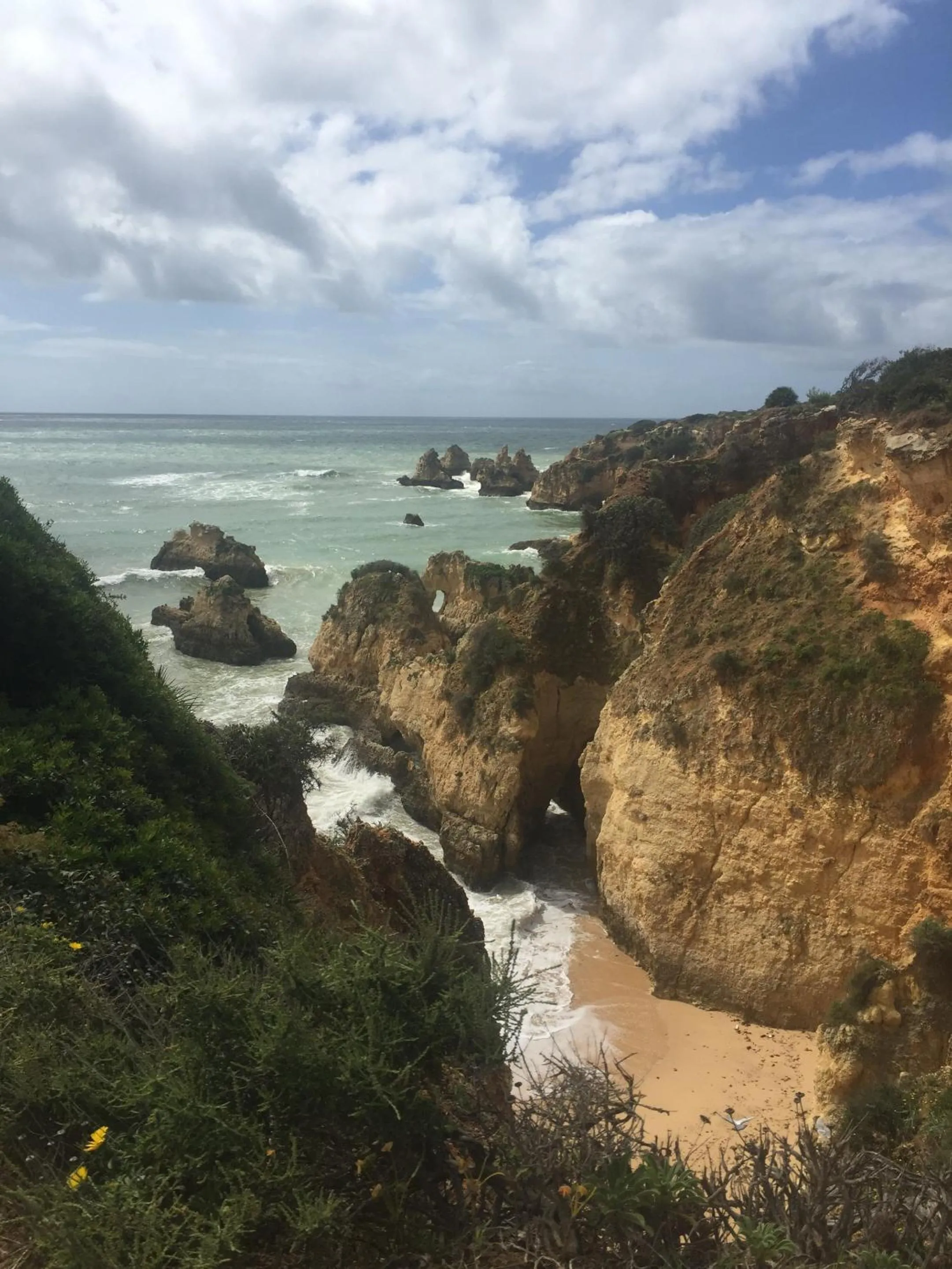 Beach in Casa Três Palmeiras