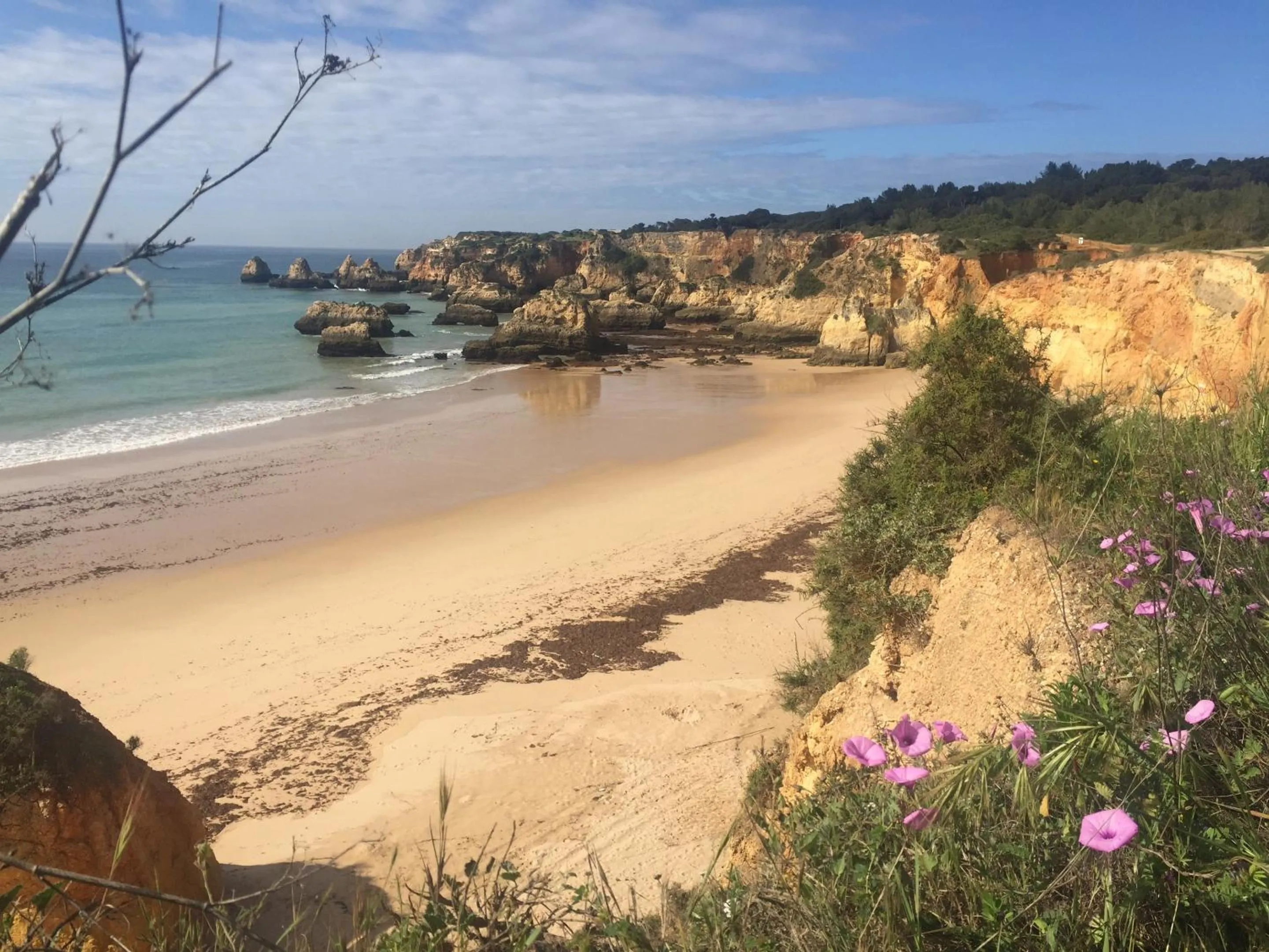 Beach in Casa Três Palmeiras