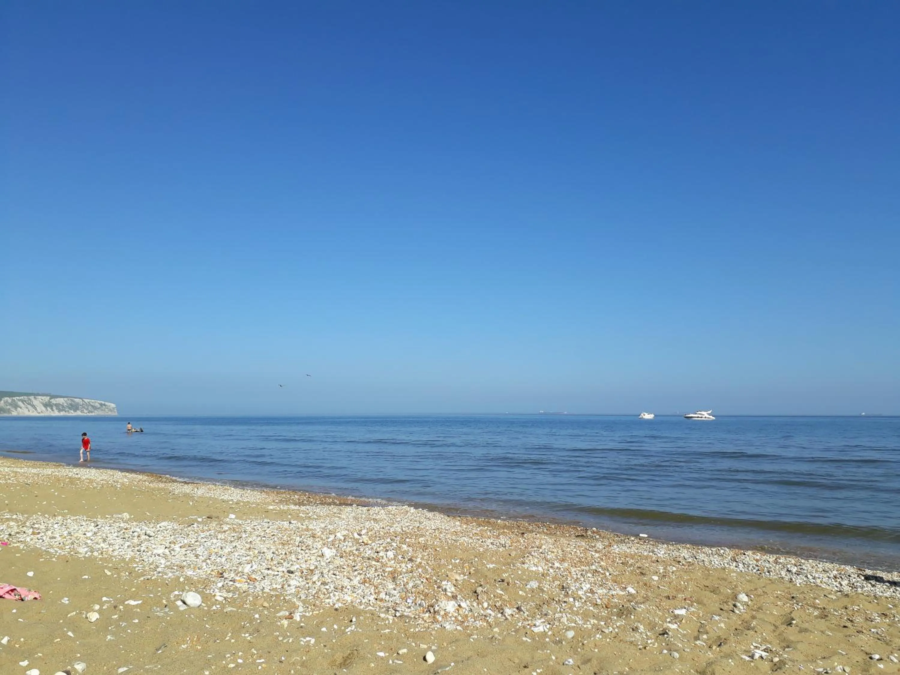 Natural landscape in Cherrylee