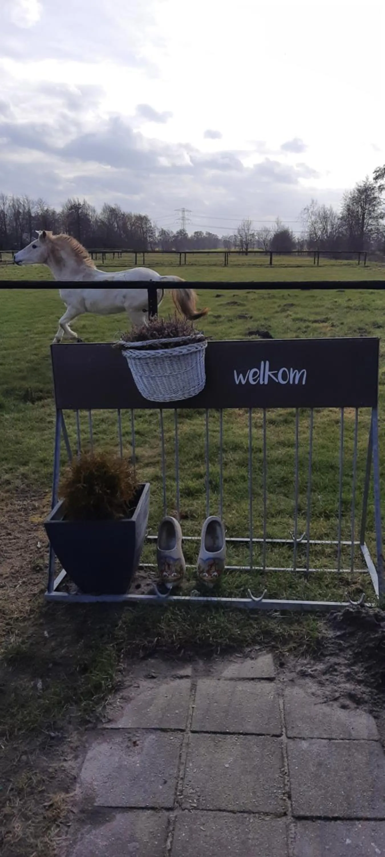 Unieke vriendenkamer met bedstedes tot 11 personen en 2 rustig gelegen chalets 2 en 4 persoons te huur!