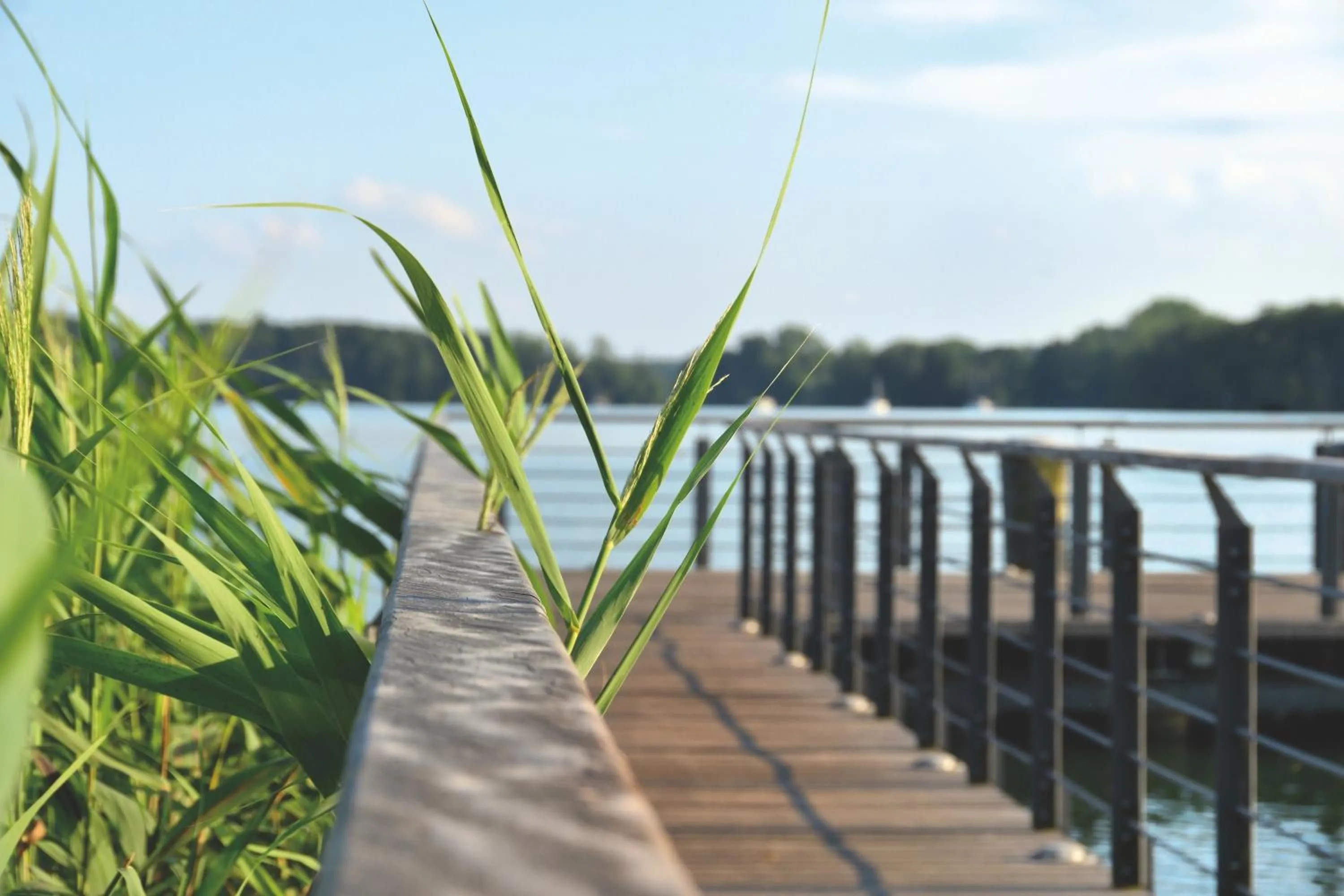 Neighbourhood in Victoria Suites