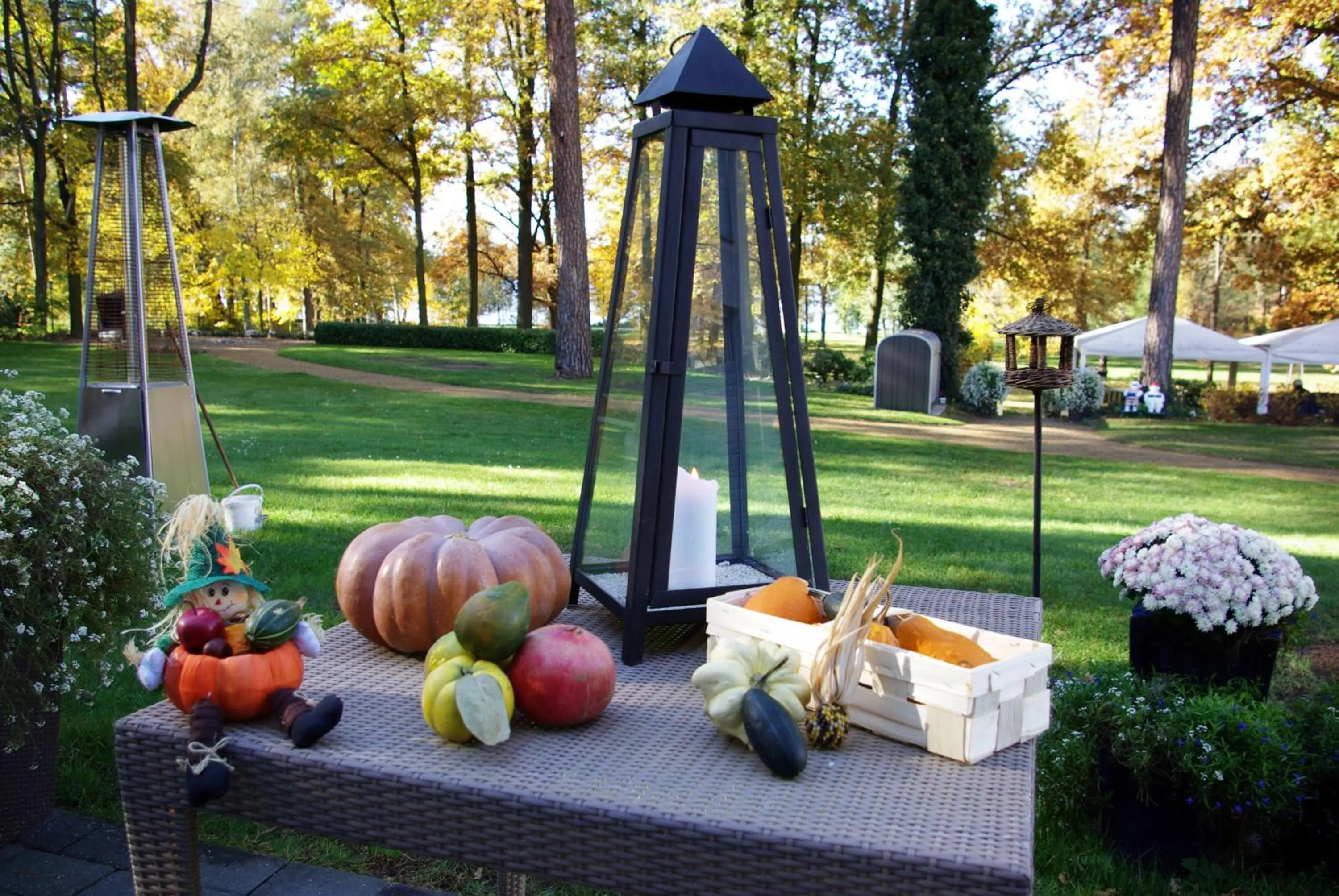 View (from property/room) in Victoria Suites