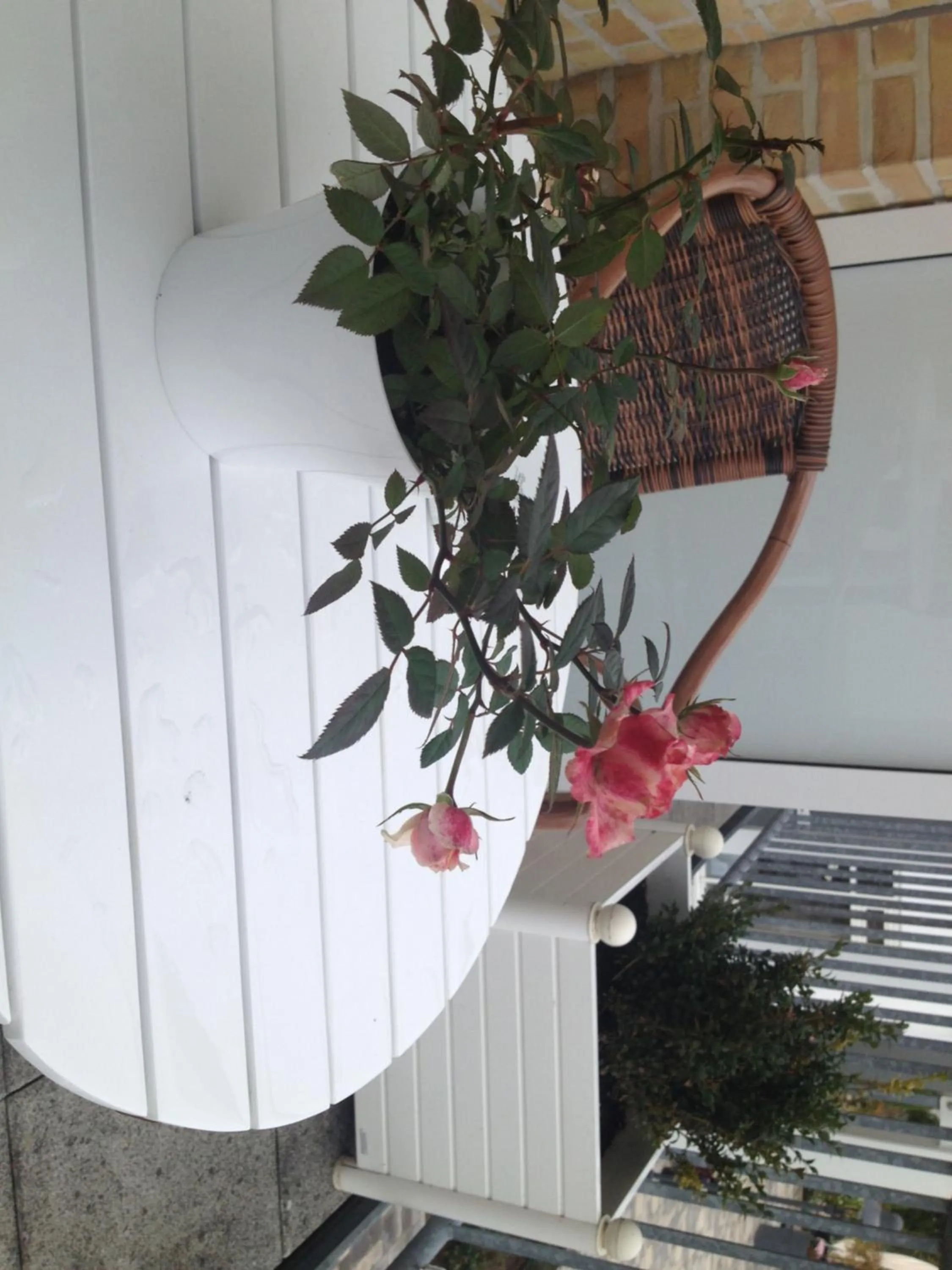 Patio in Hotel Ostseeresidenz Cammann Grömitz