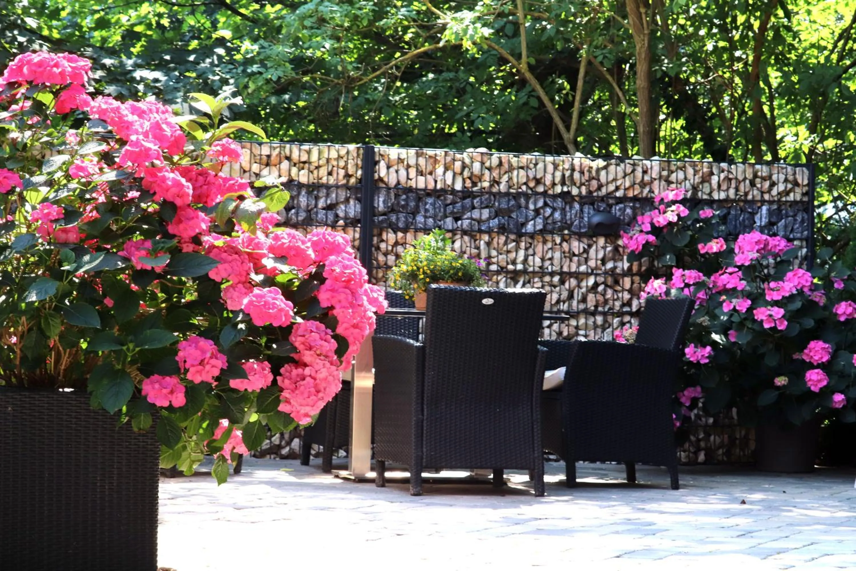 Garden in Hotel Ostseeresidenz Cammann Grömitz