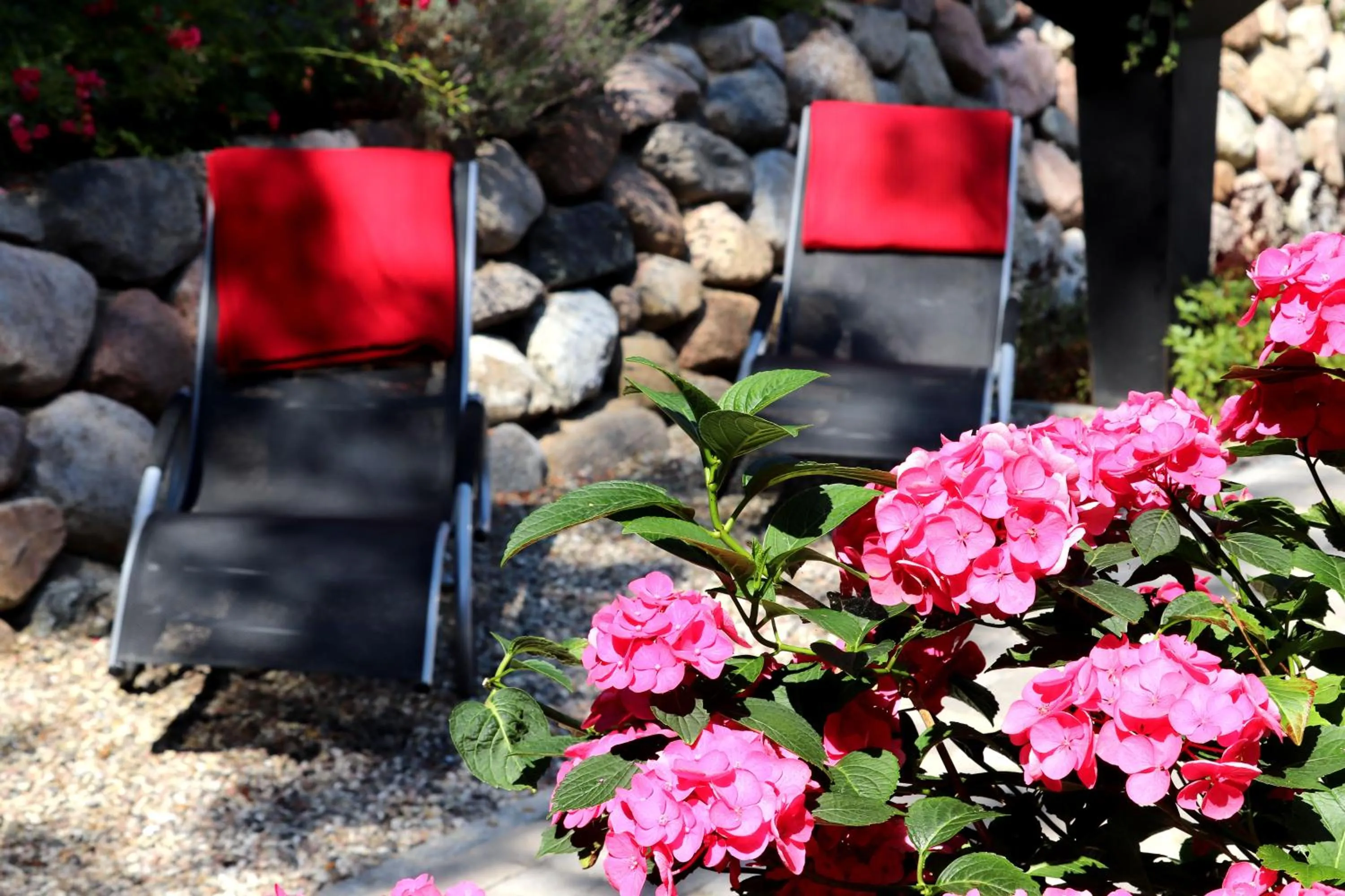 Garden in Hotel Ostseeresidenz Cammann Grömitz