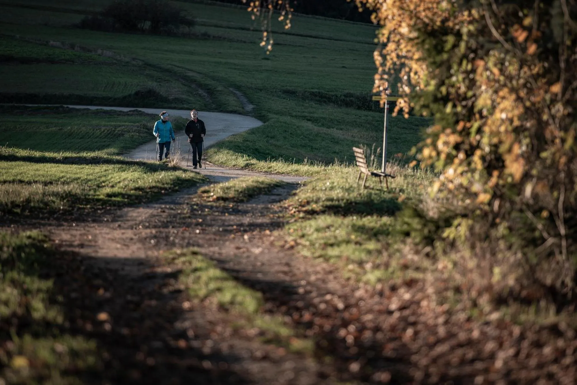 Staff in Faulenzerhotel