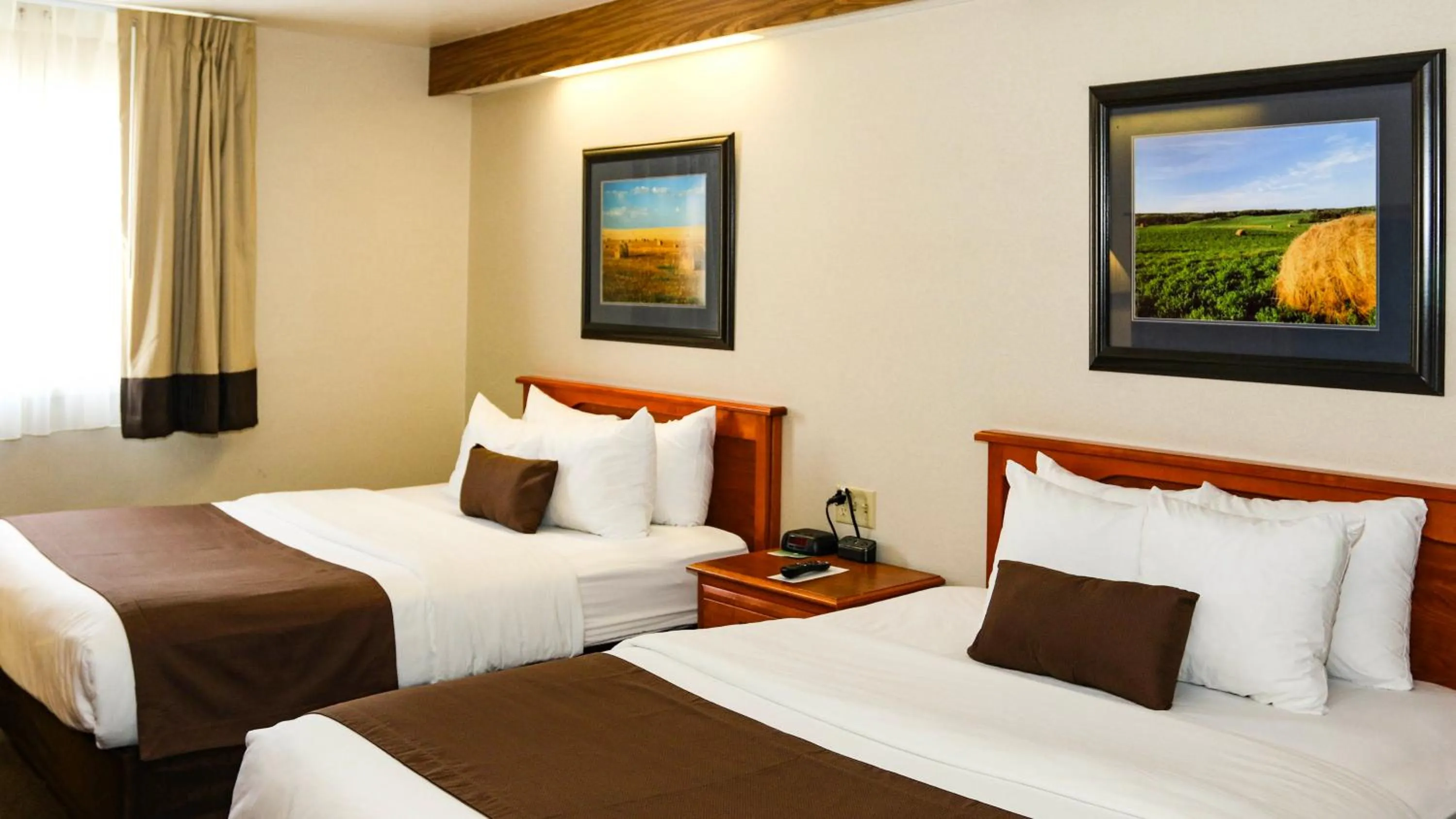 Bedroom, Bed in Studio 6 - Minot, ND