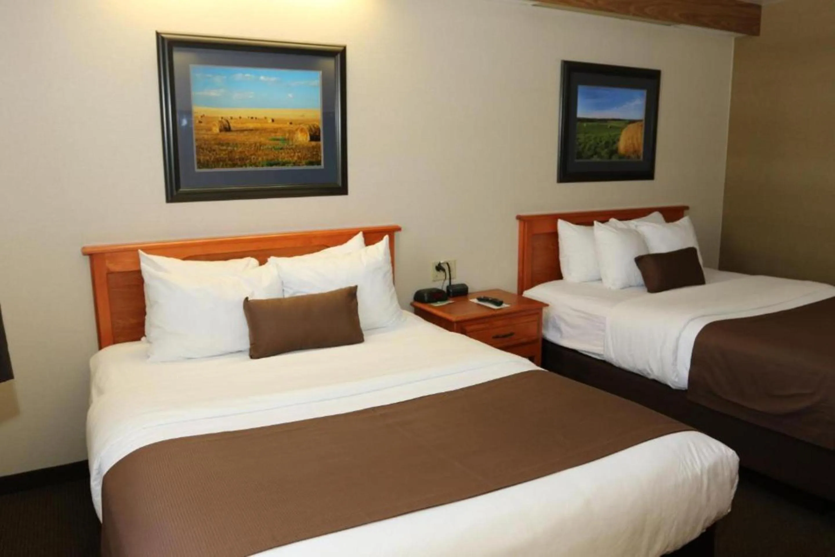 Bedroom, Bed in Studio 6 - Minot, ND