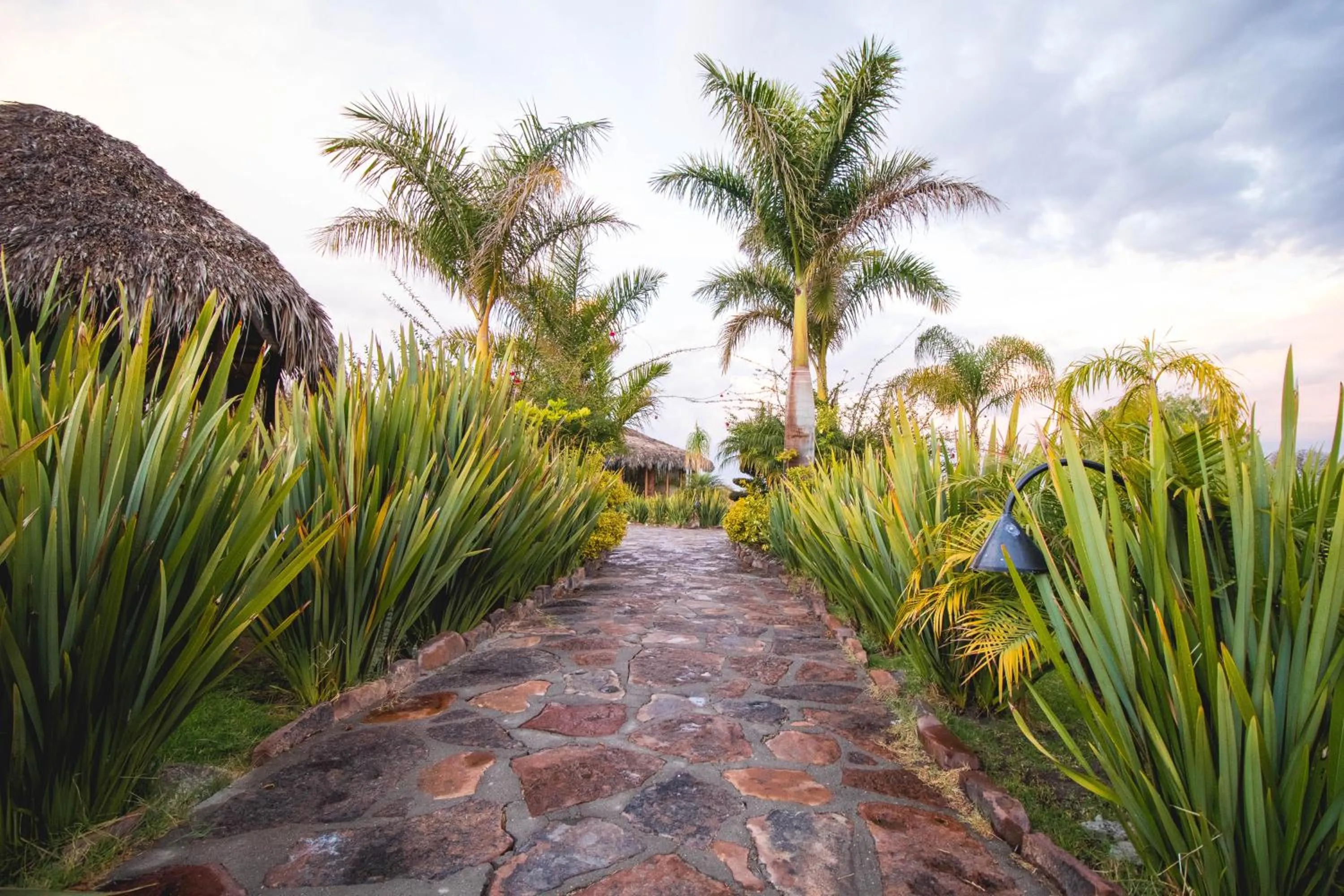 Garden in Hotel y Villas Los Pirules by Rotamundos