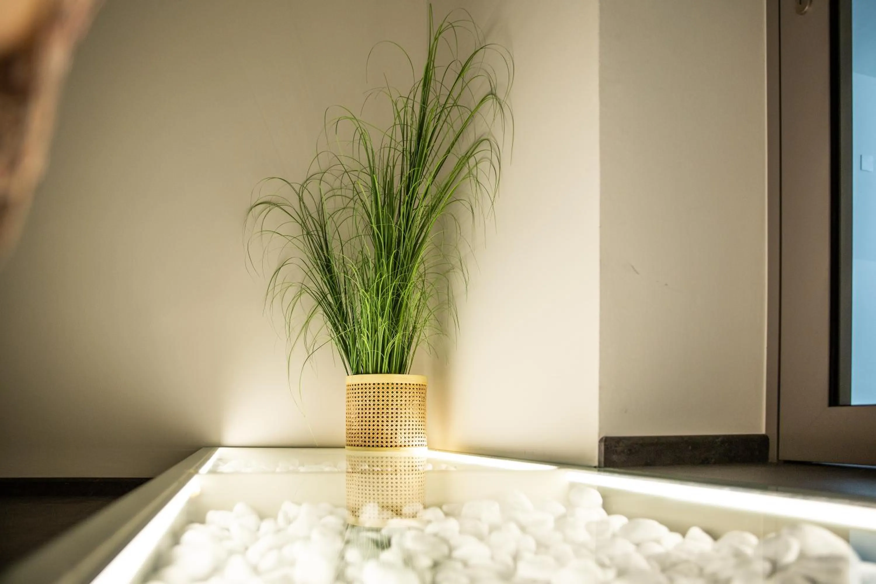 Property building in Hotel Rösch