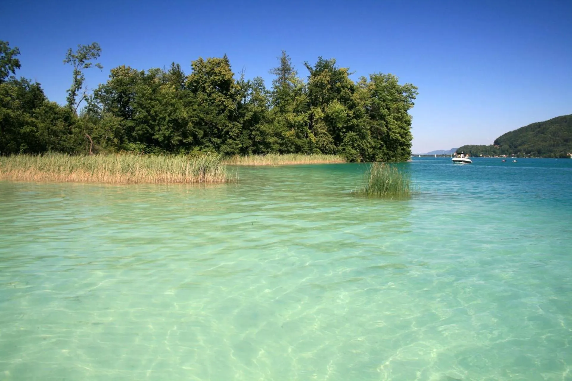 Natural landscape in Hotel Rösch