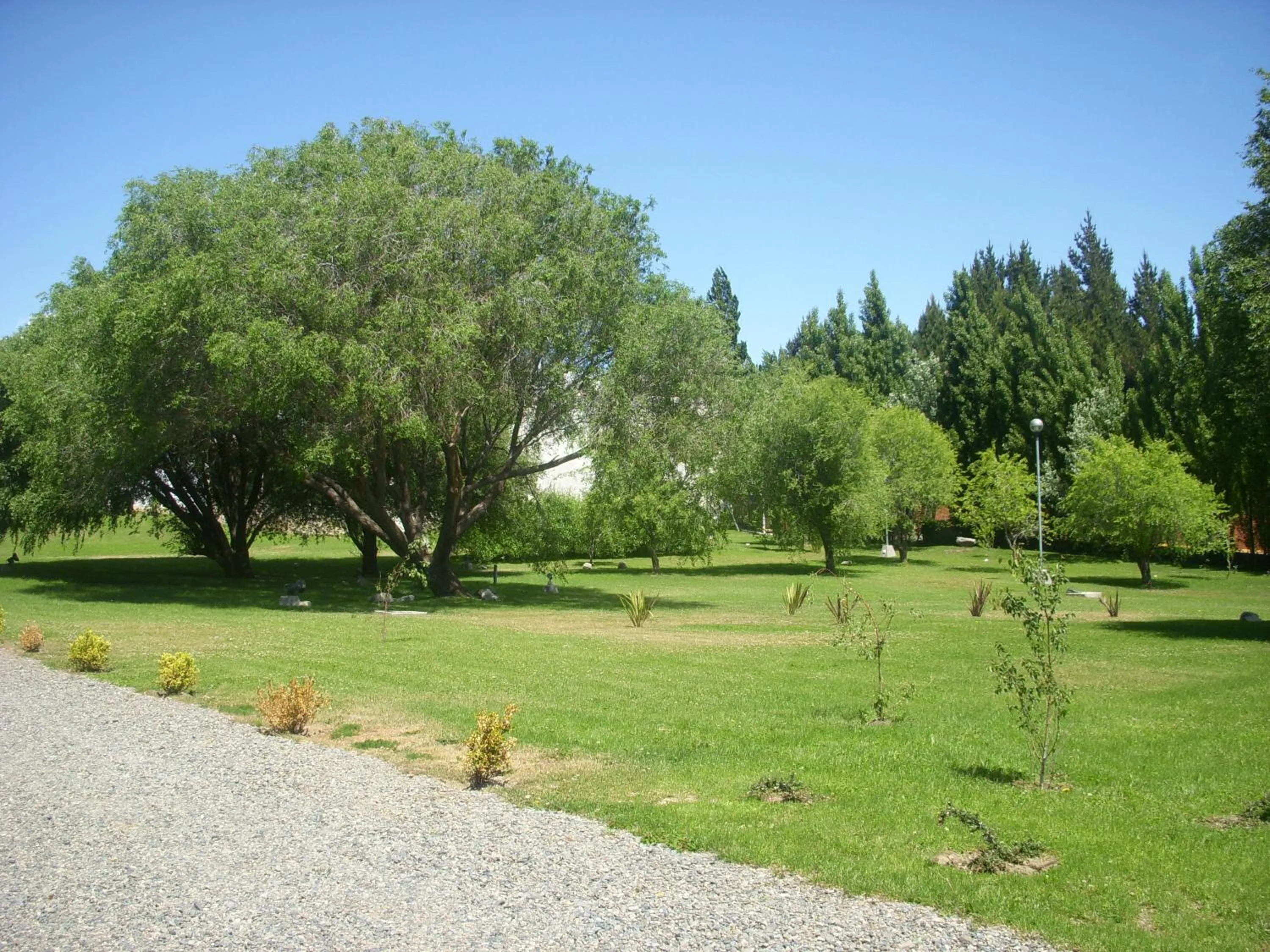 Spring in Hotel ACA El Calafate