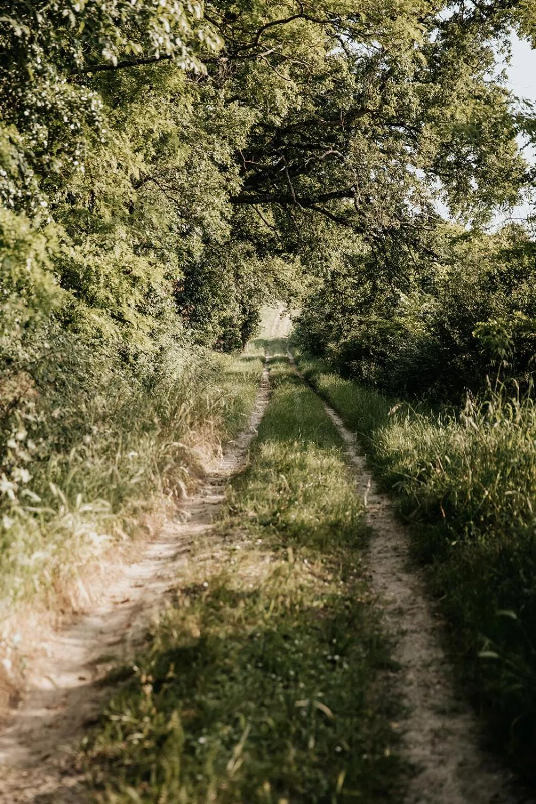 Neighbourhood in Château La Grande Clotte