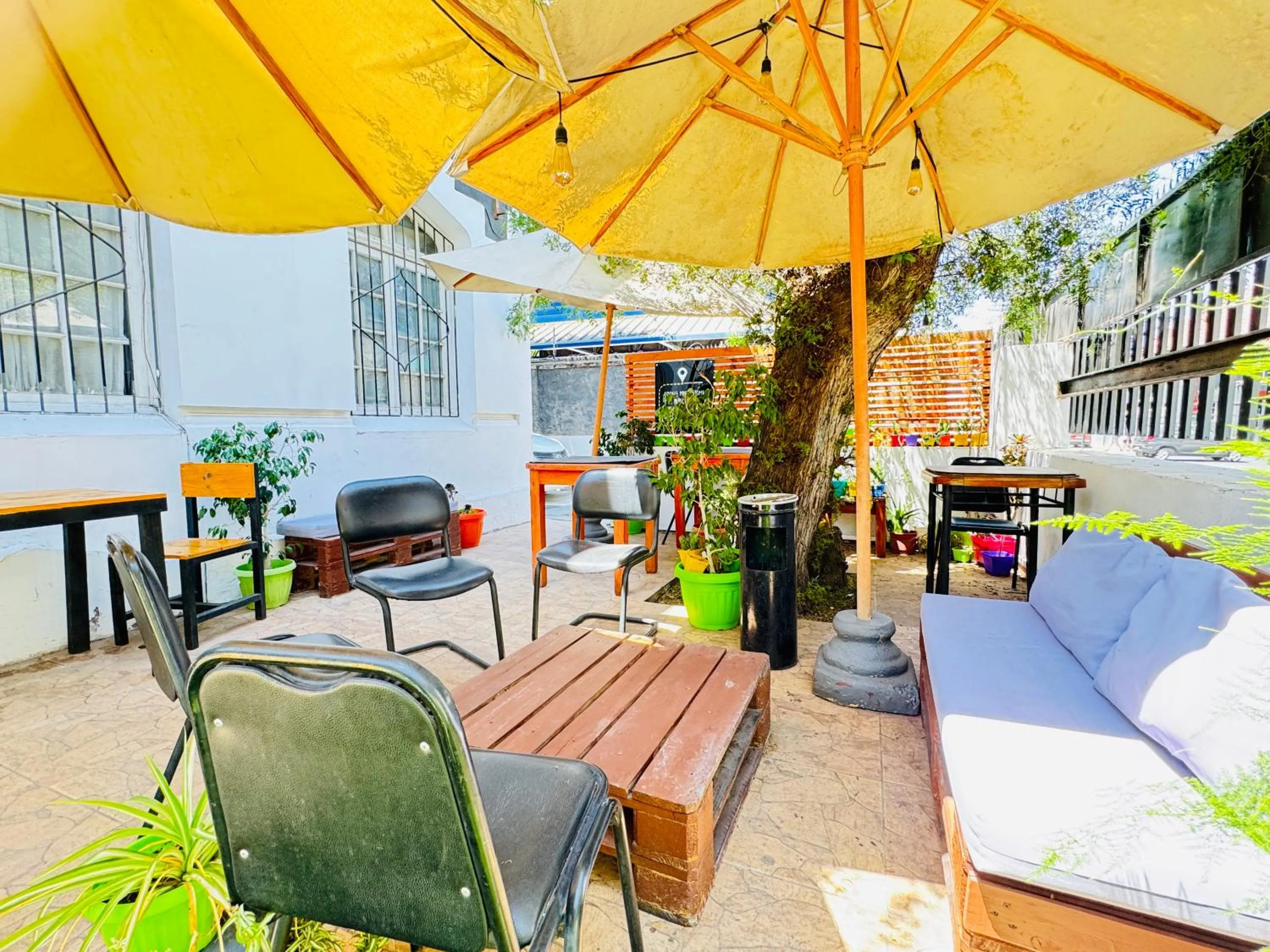 Garden in Hotel Casa Lyon