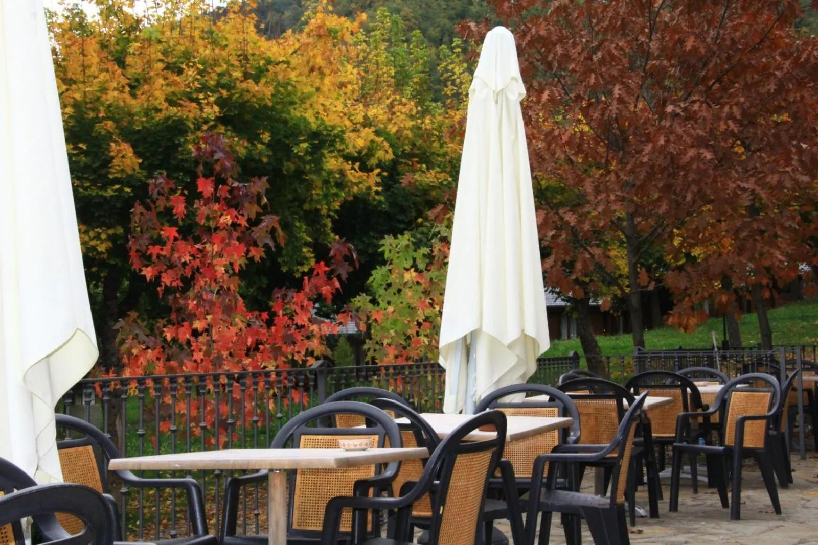 Restaurant/places to eat in Hotel, Bungalows y Camping Viu