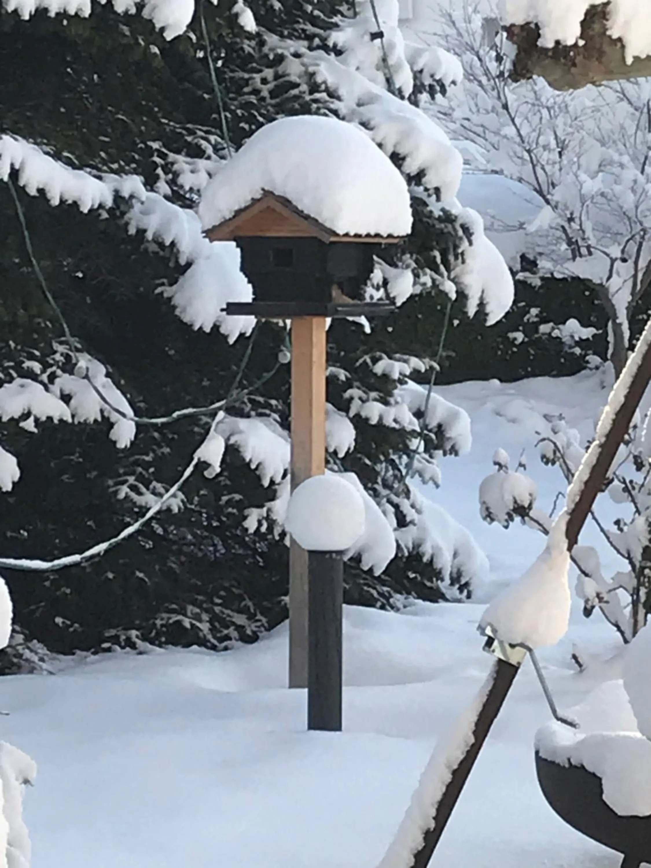 Garden in Hotel Restaurant Rössle