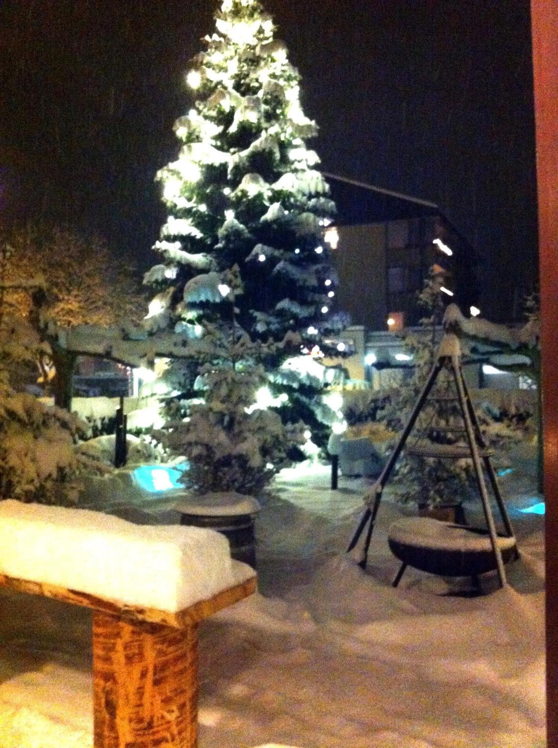 Garden in Hotel Restaurant Rössle