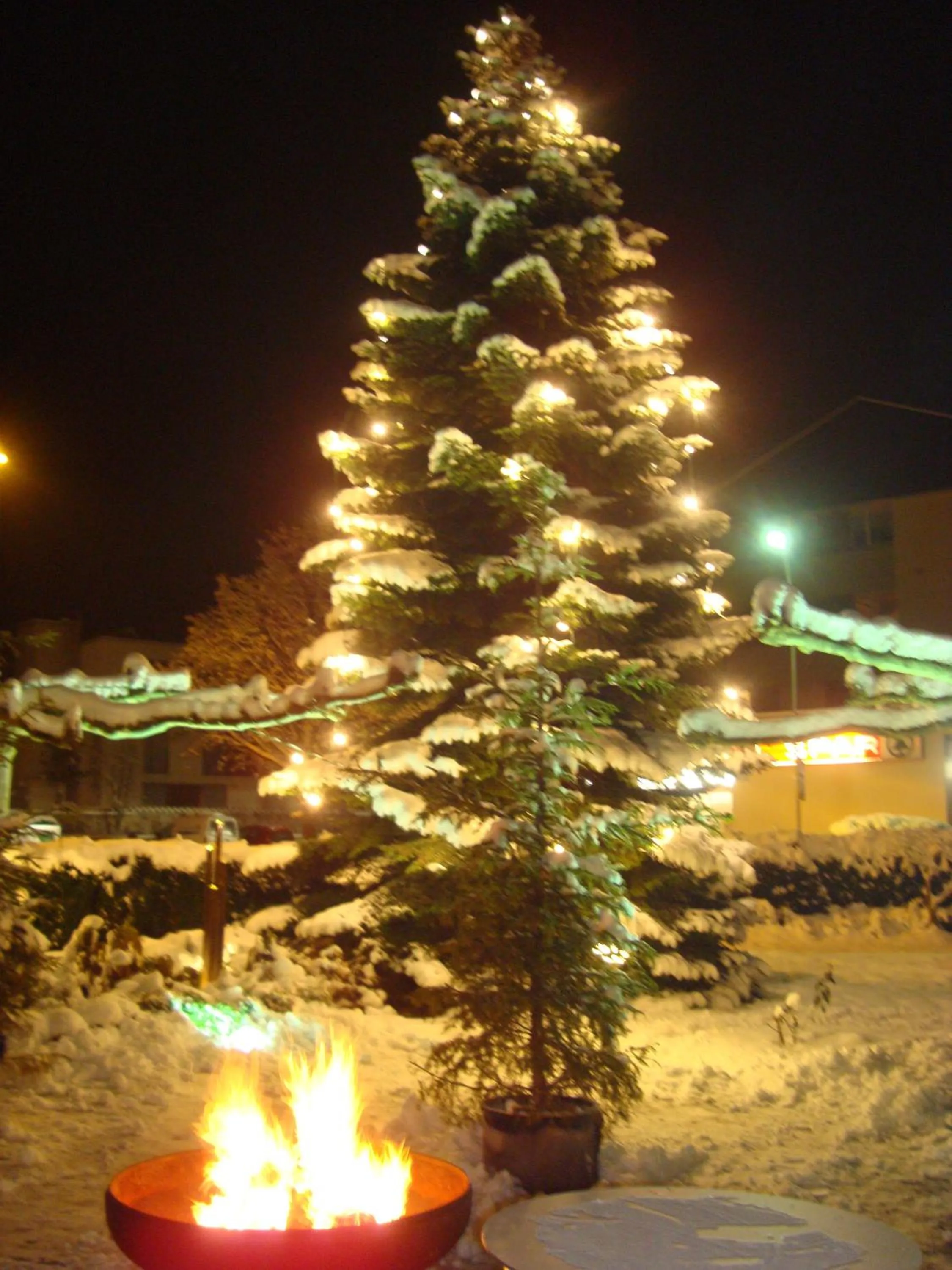 Area and facilities in Hotel Restaurant Rössle