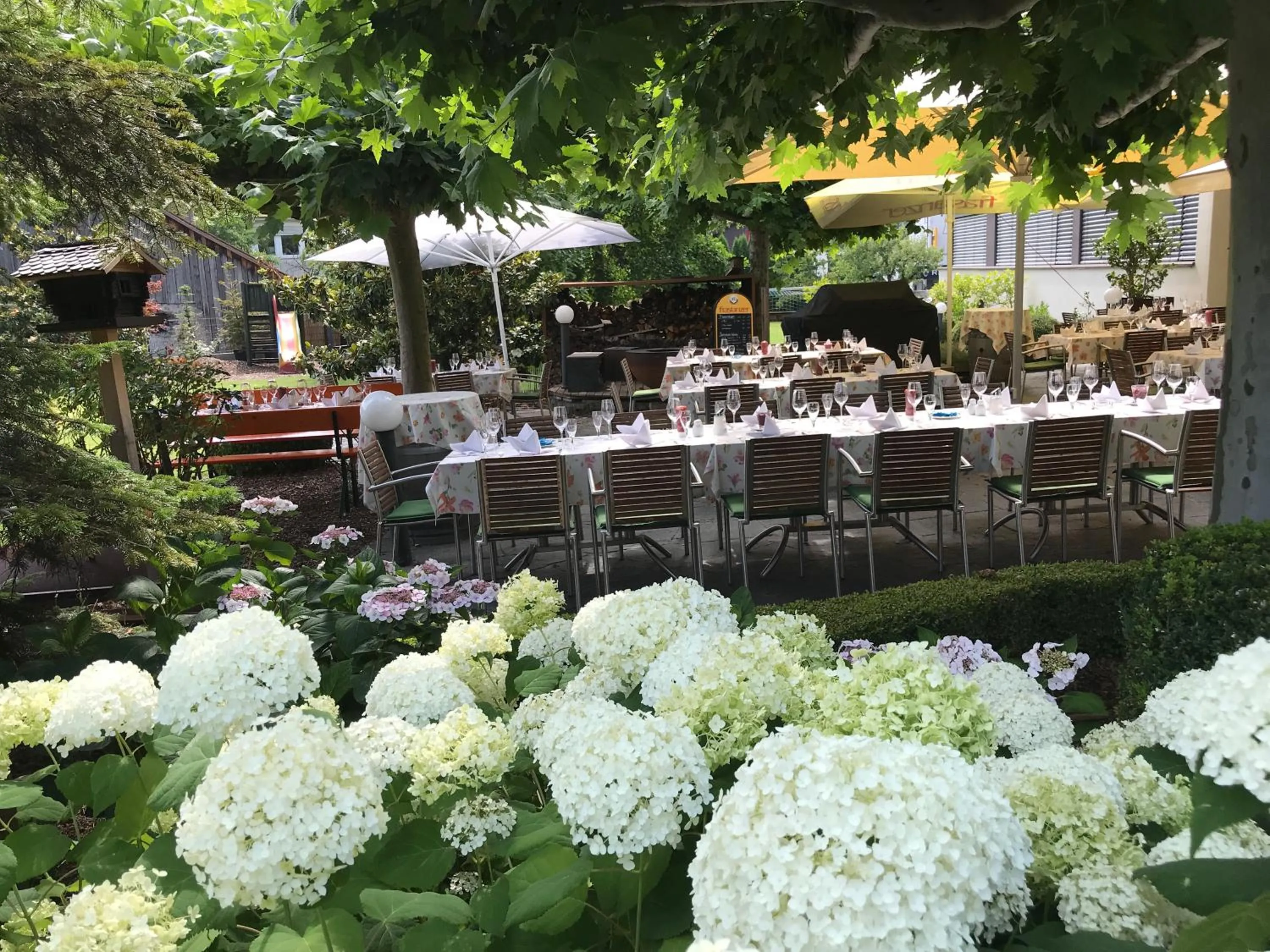 Garden in Hotel Restaurant Rössle