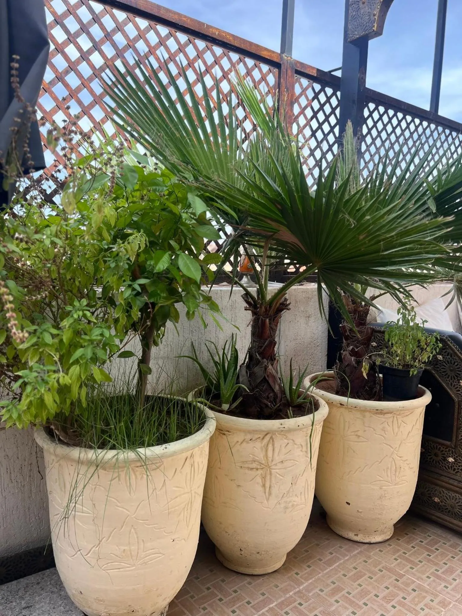 Balcony/Terrace in Riad Alice Terrace & Spa