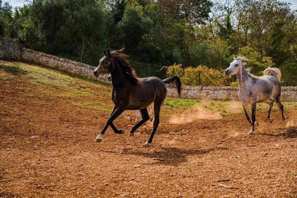 Borgo Del Tempo Ritrovato - Luxury Relais in Puglia