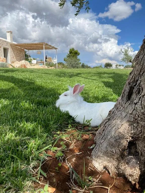 Borgo Del Tempo Ritrovato - Luxury Relais in Puglia