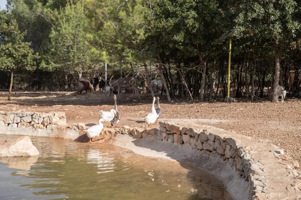 Borgo Del Tempo Ritrovato - Luxury Relais in Puglia