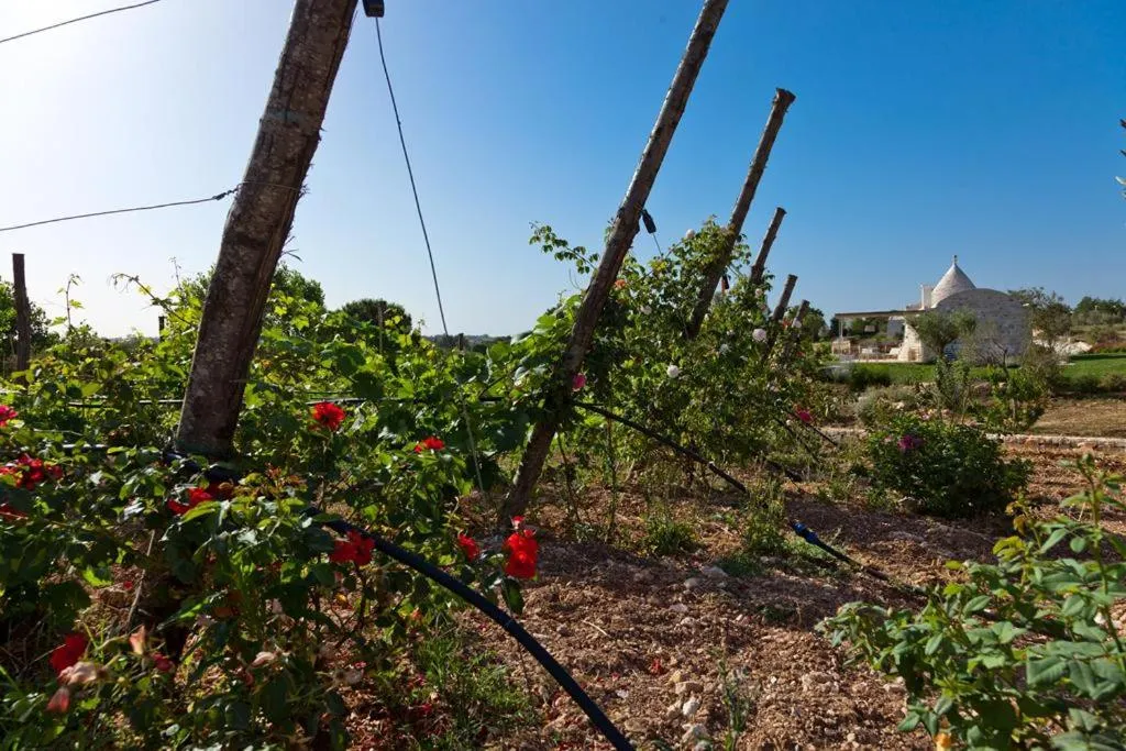 Borgo Del Tempo Ritrovato - Luxury Relais in Puglia