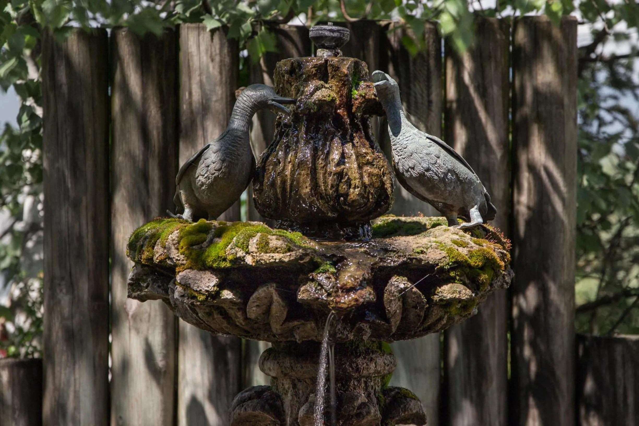 Balcony/Terrace in Alp Art Hotel Götzens