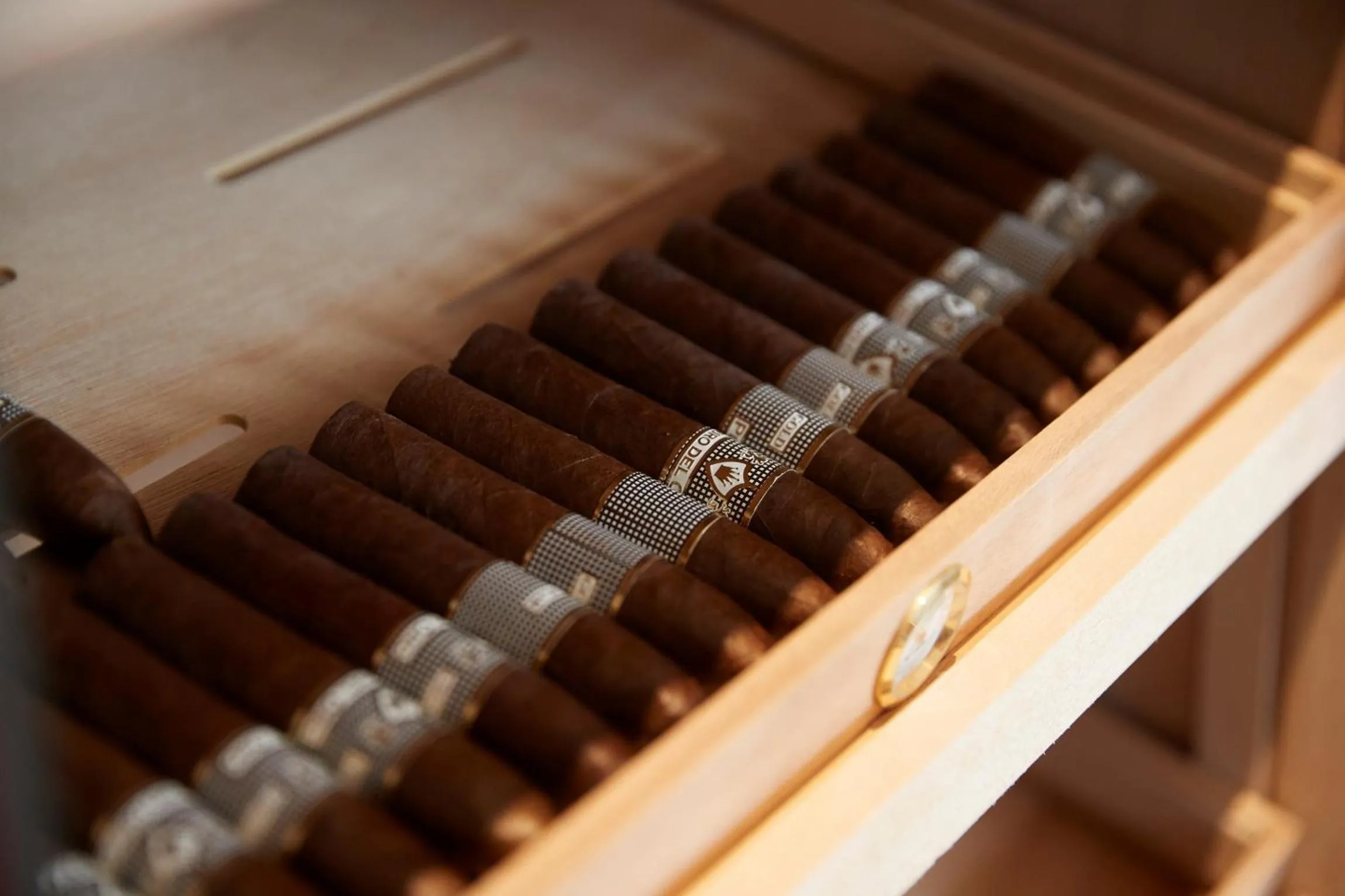 Area and facilities in The Quorum