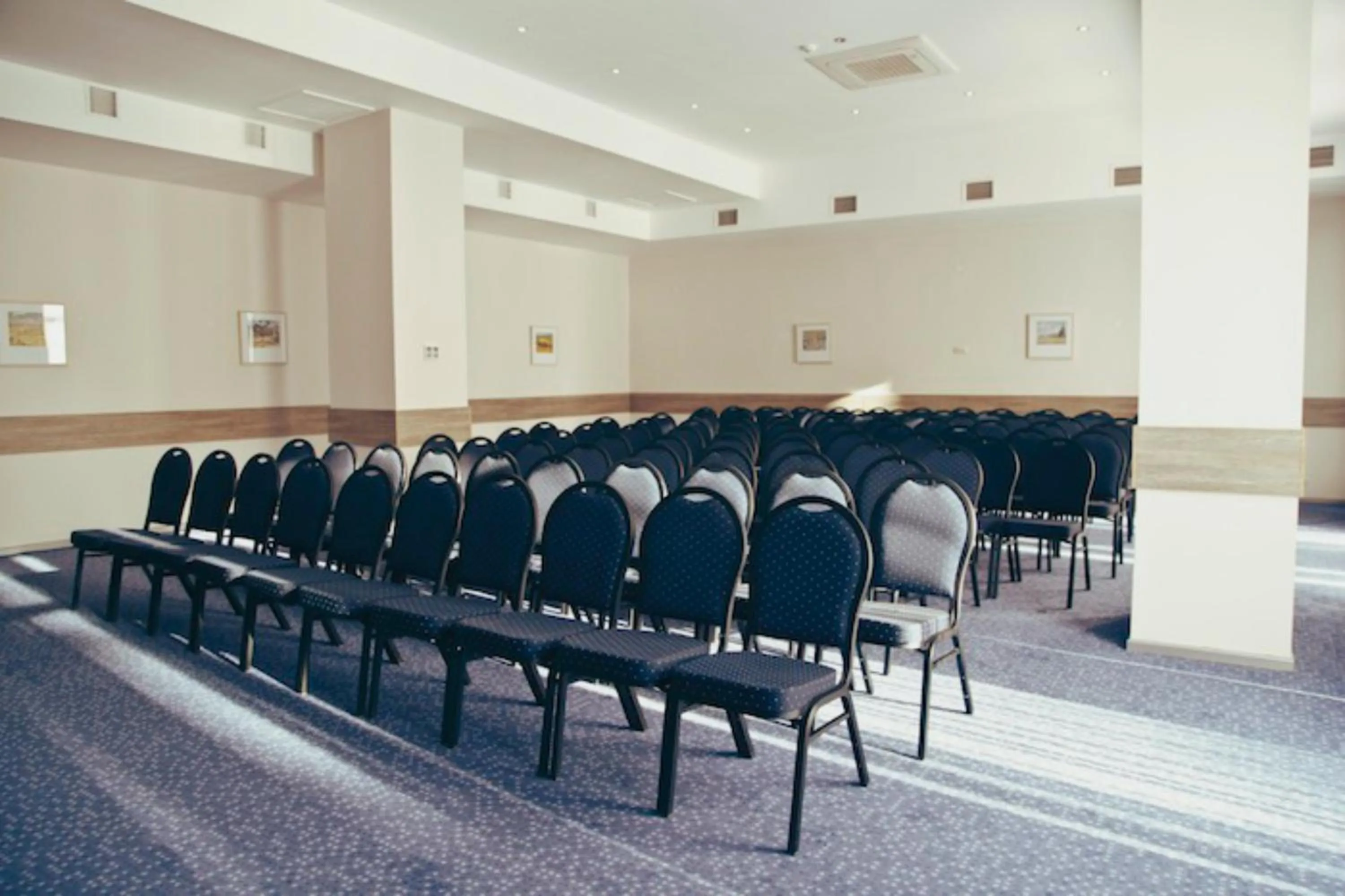 Meeting/conference room in Tskaltubo Plaza Hotel