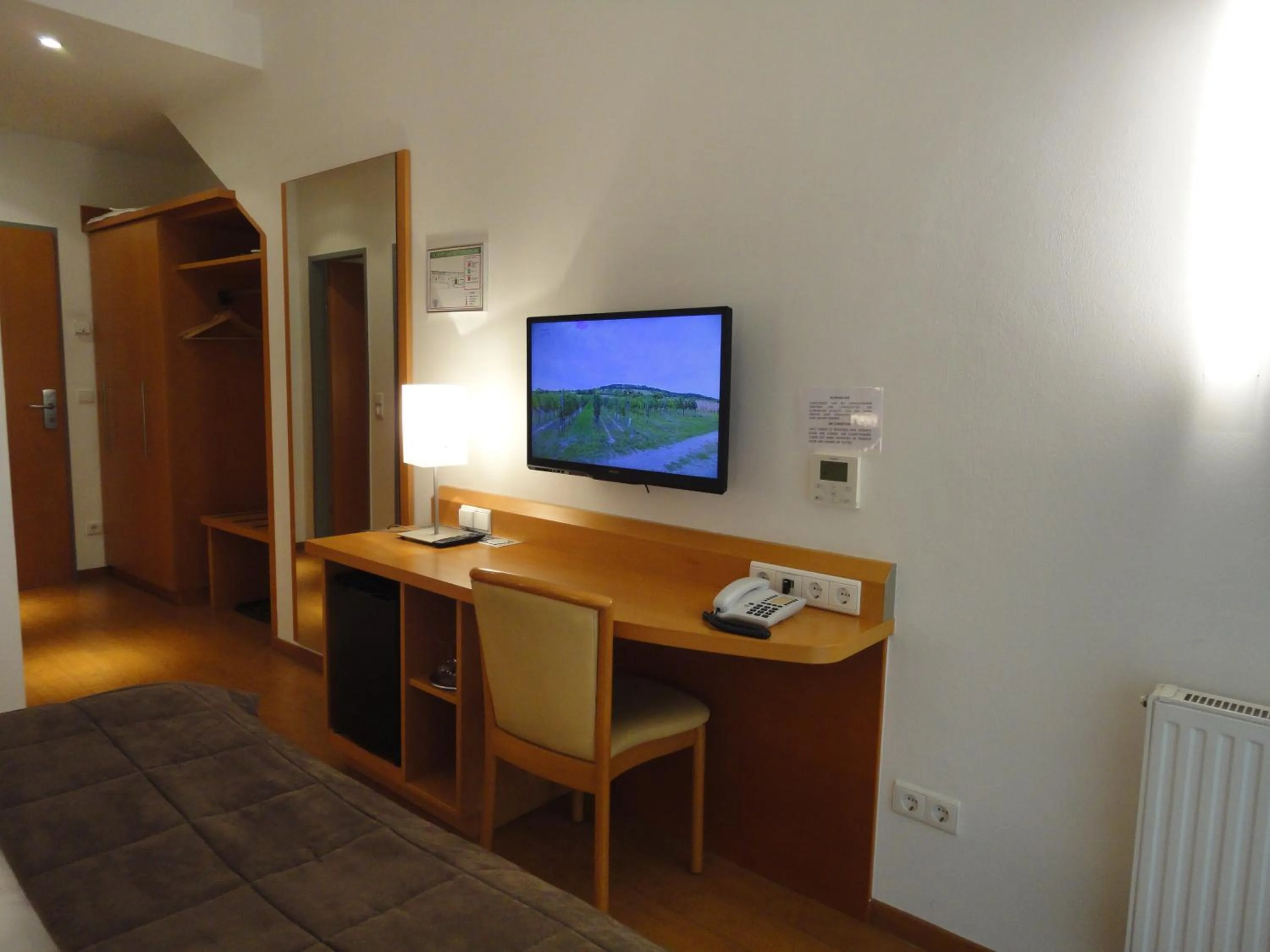 TV and multimedia in City Hotel Albrecht