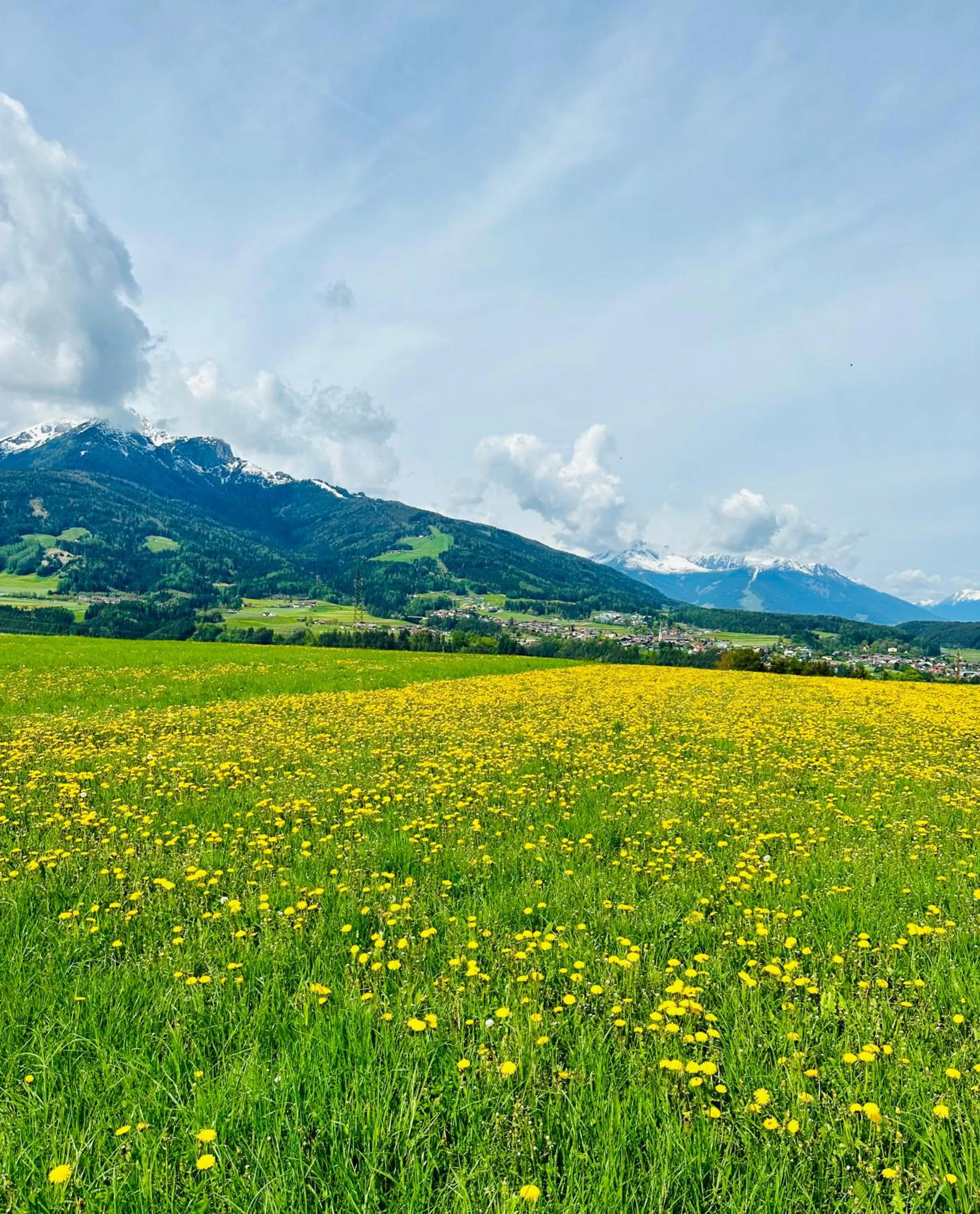 Natural landscape in Hotel Sonnenhof - bed & breakfast & appartements