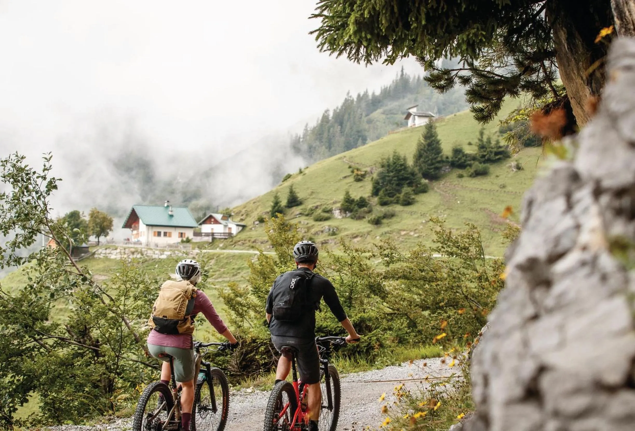 Activities in Hotel Sonnenhof - bed & breakfast & appartements