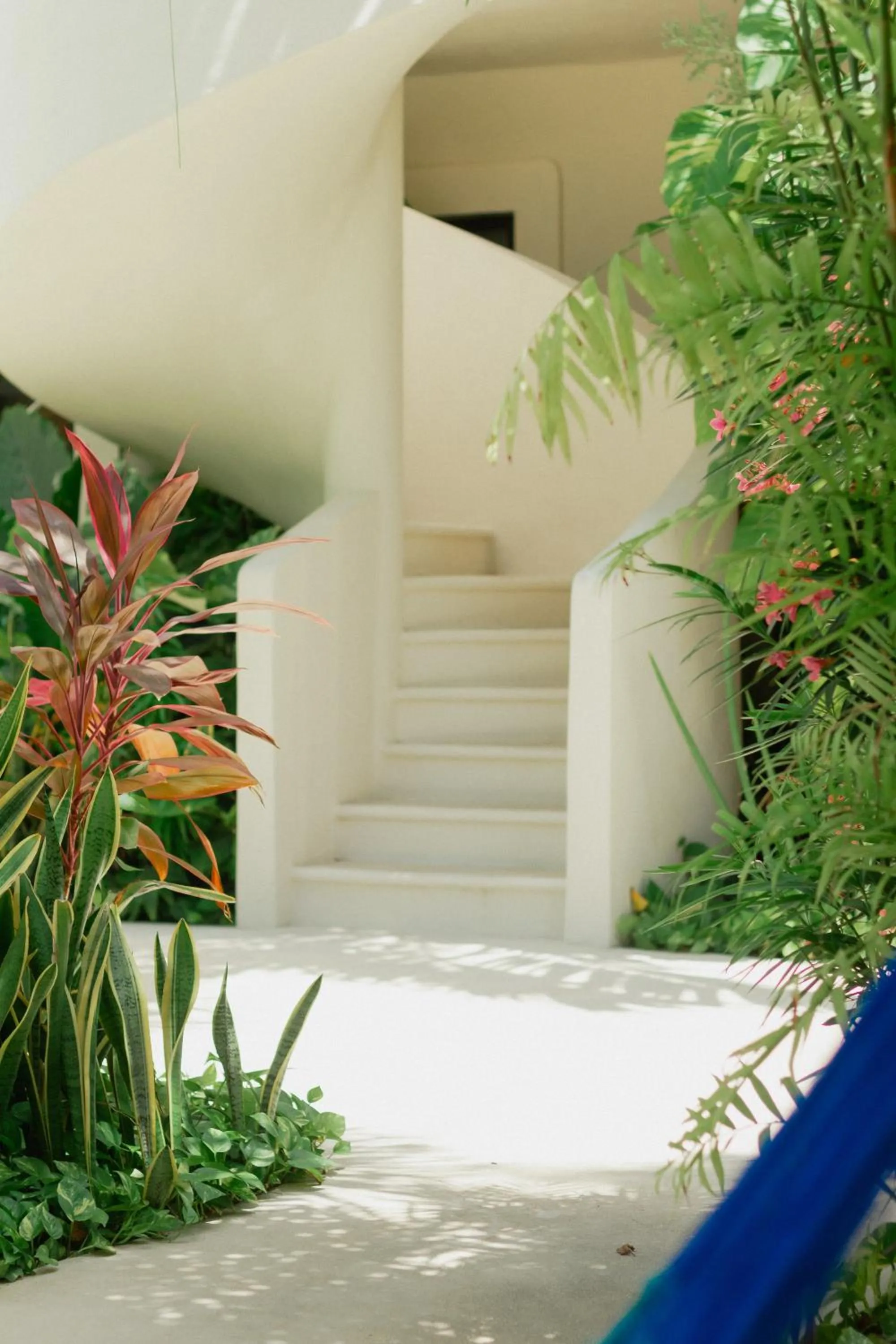 Garden view in Blue Palm Bacalar