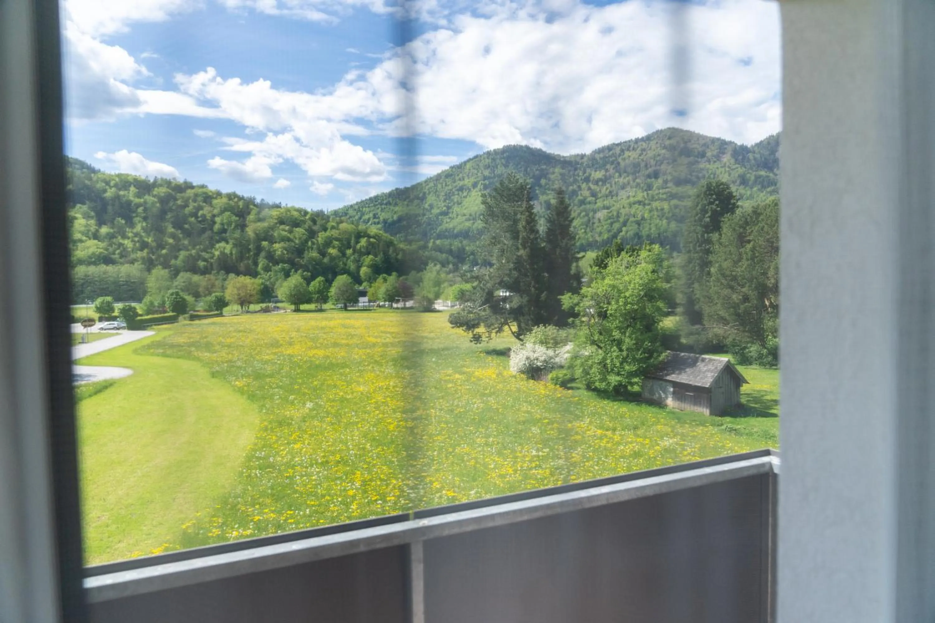 View (from property/room) in Hotel Jakob