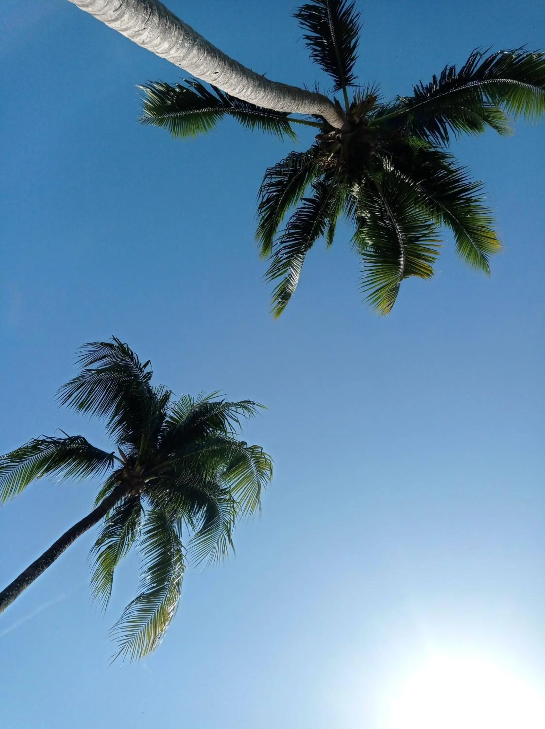 View (from property/room) in Hotel Casa Coco