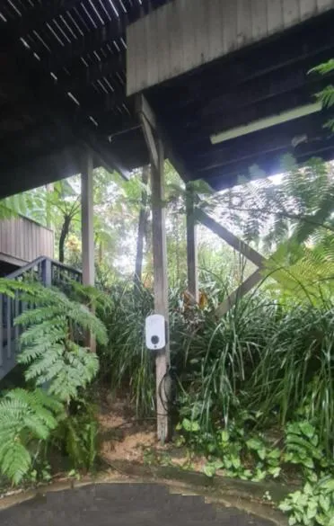 Area and facilities in The Oasis Apartments and Treetop Houses
