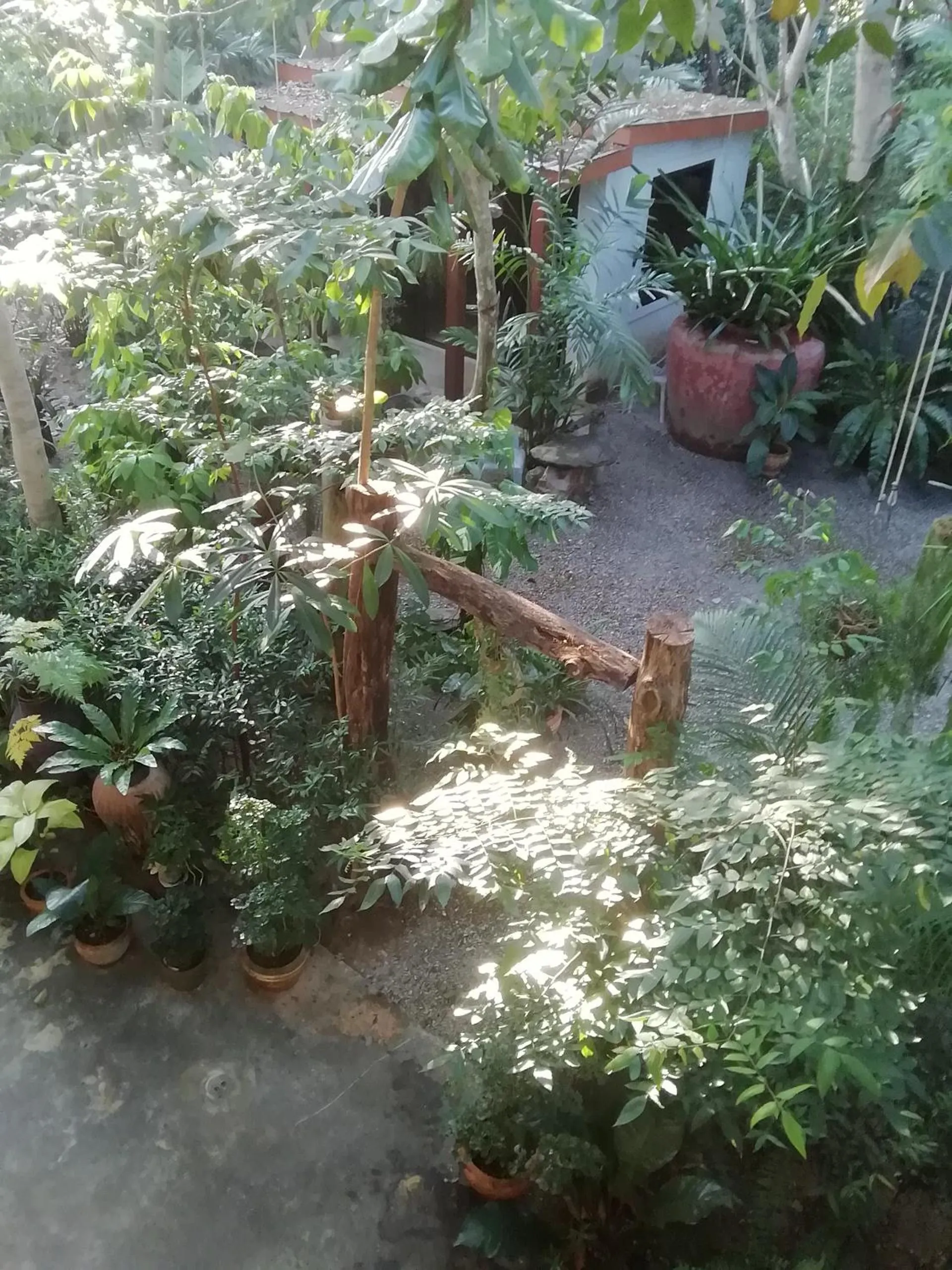 Natural landscape in The Theatre Villa