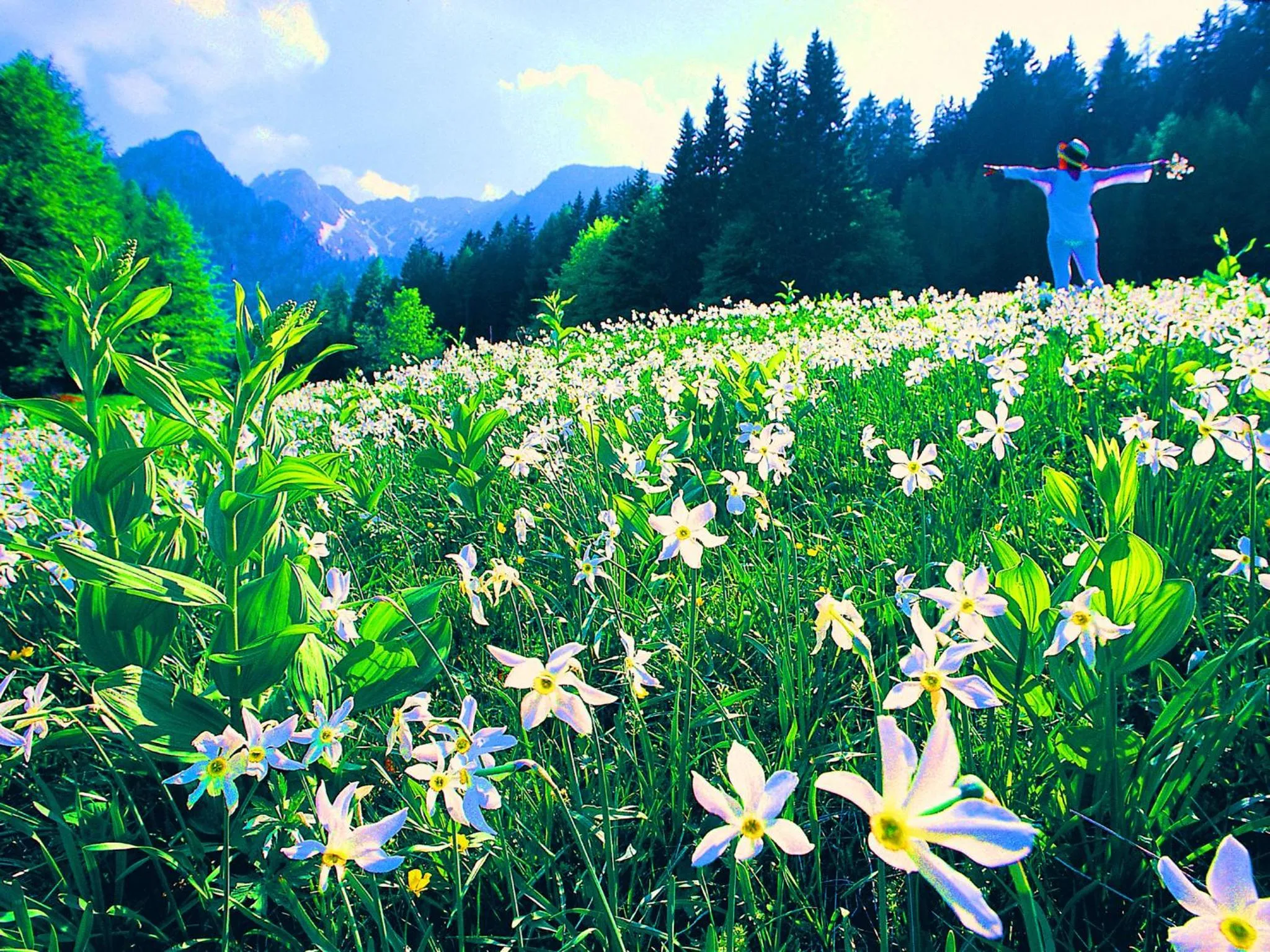 Area and facilities in Barry Memle Directly at the Lake