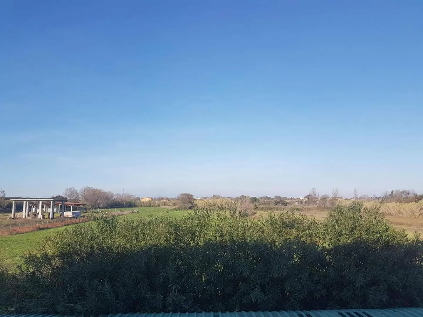 Natural landscape in Hotel Mirage